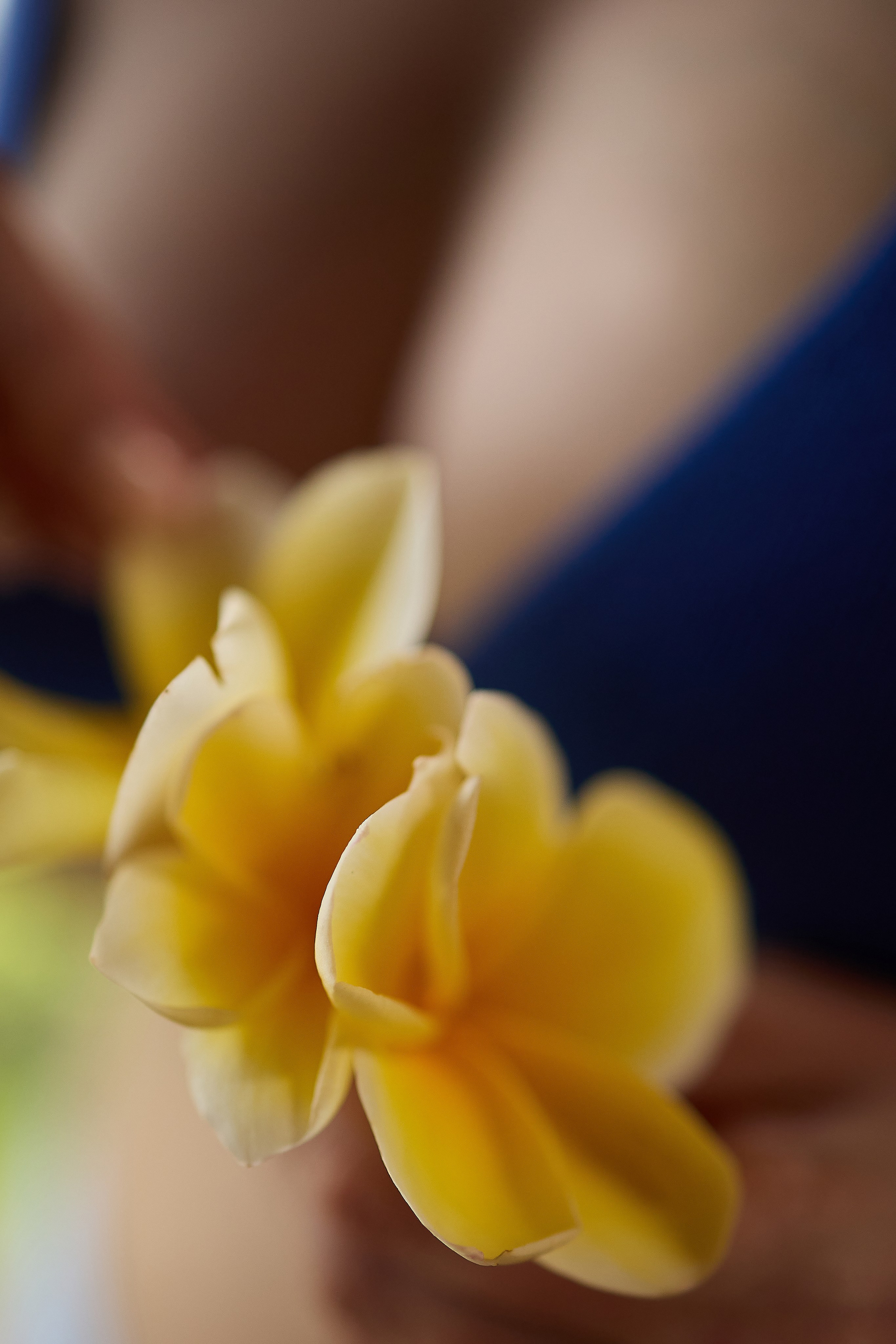 Bali. Семейный фотограф в Москве — Войтюк Илья