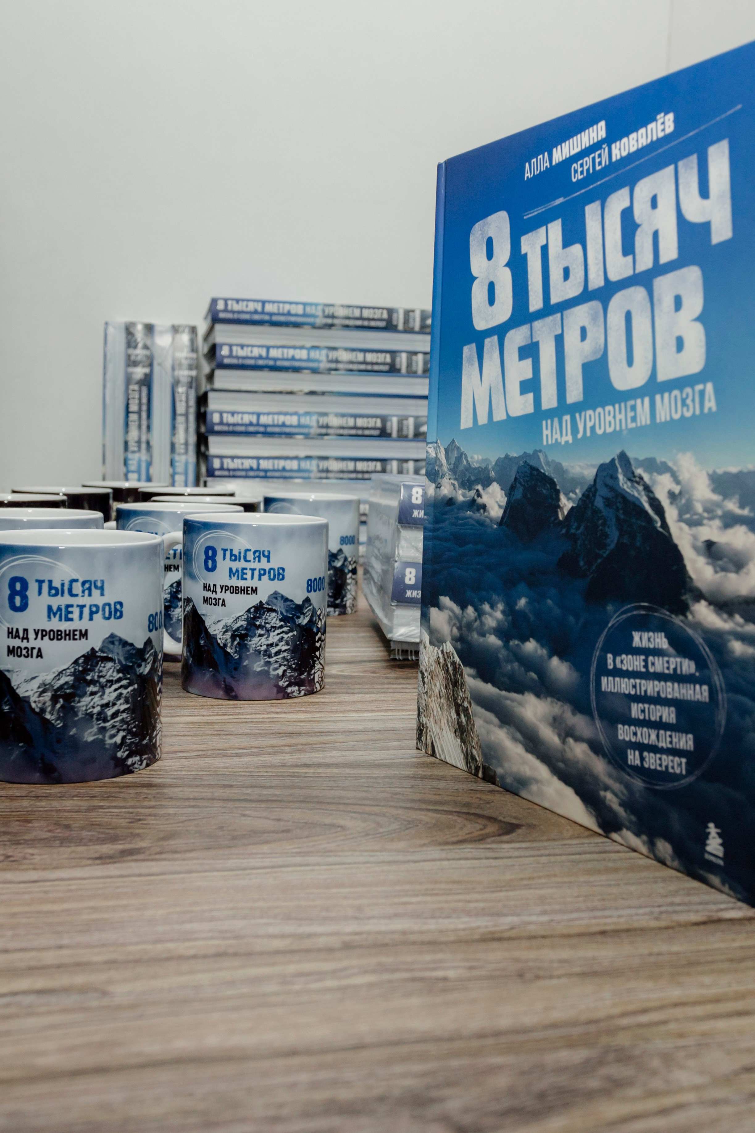 Презентация книги Аллы Мишиной. Деловая и Бизнес съемка в  Москве Инесса Грушко