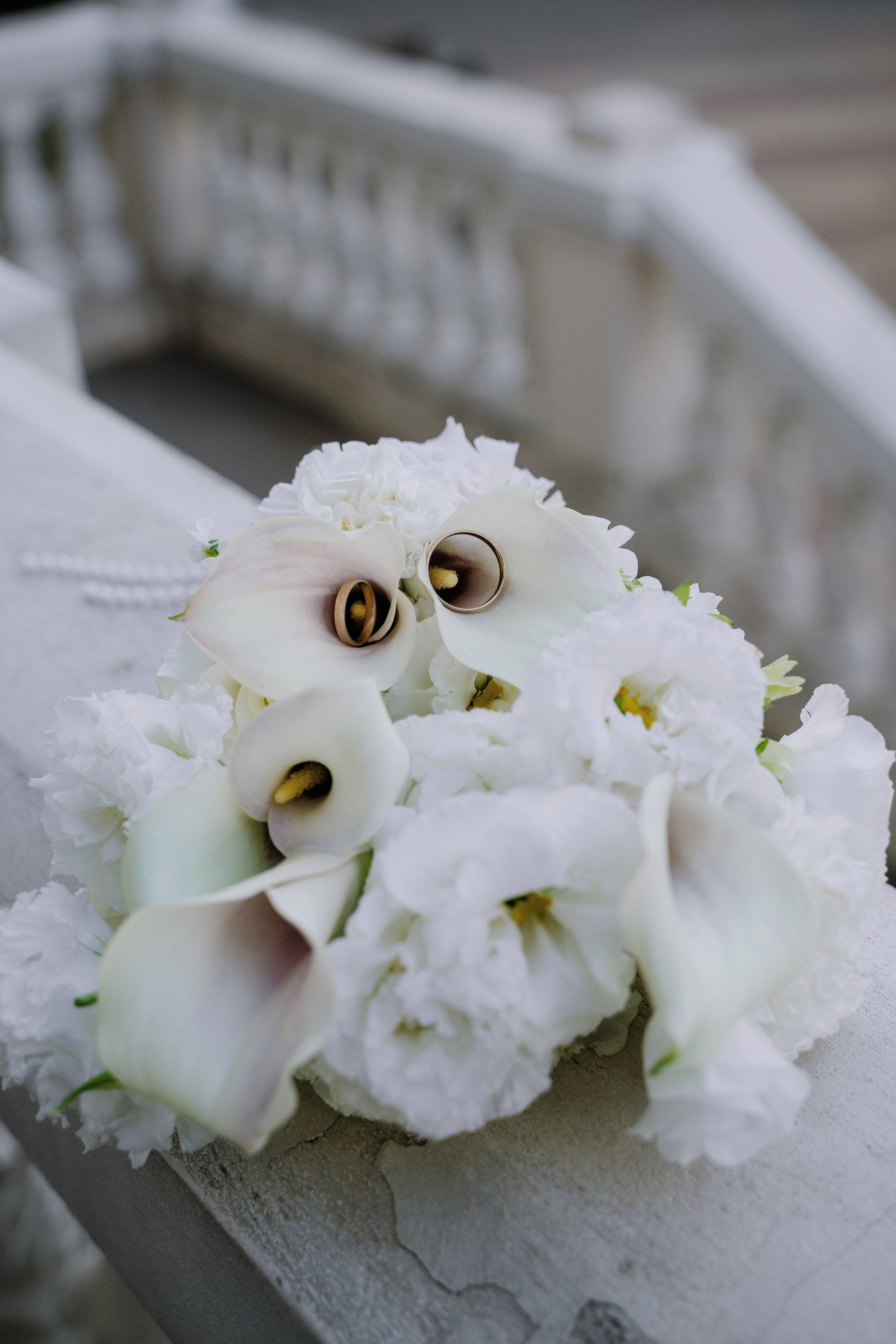 Георгий&Мария. Свадебный и Семейный фотограф в г. Ростов-на-Дону Герасимова Светлана