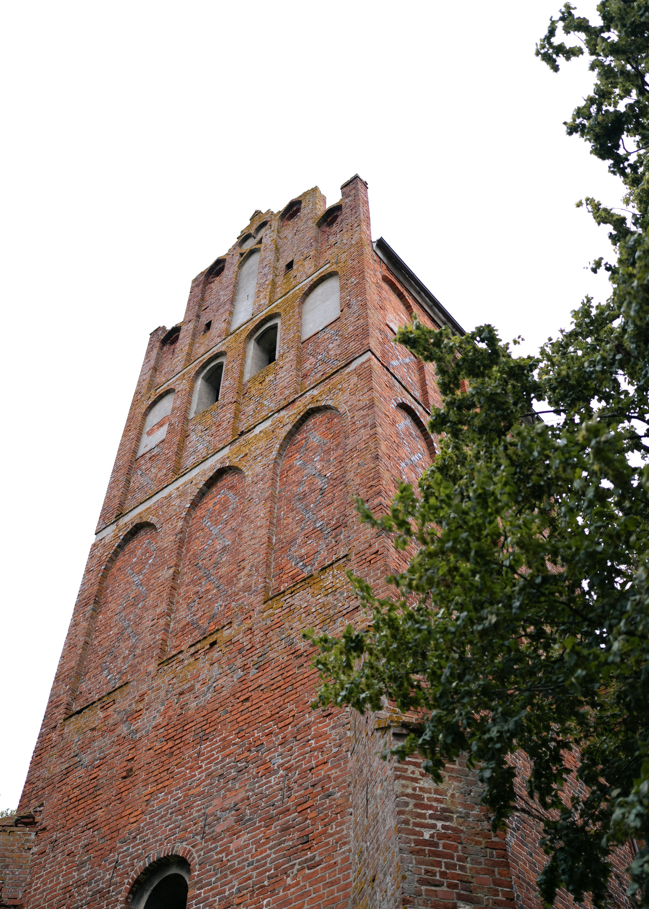 Регион 39: Коля и Мирослава. Ведущий Москва Мацак Стас