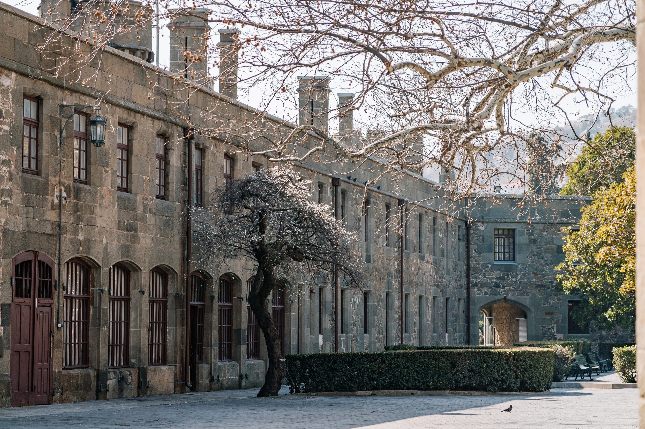 Алупкинский дворцово-парковый музей-заповедник, Республика Крым. Репортажный фотограф в Крыму Ксения Гасица