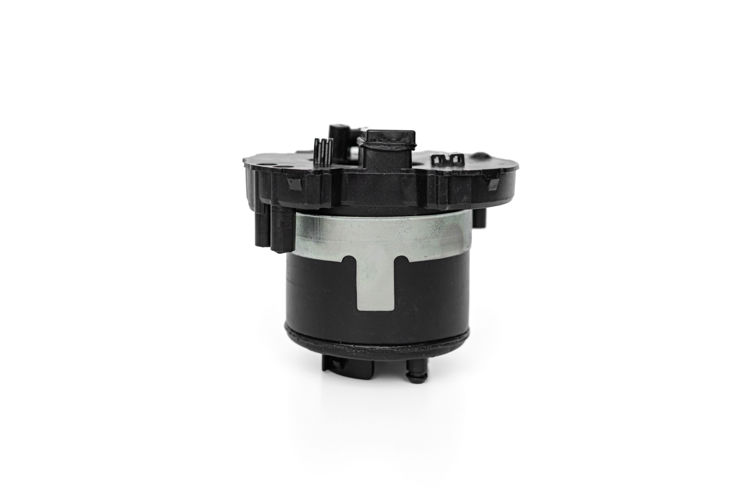 ФОТО. Фотограф Алина Гашникова