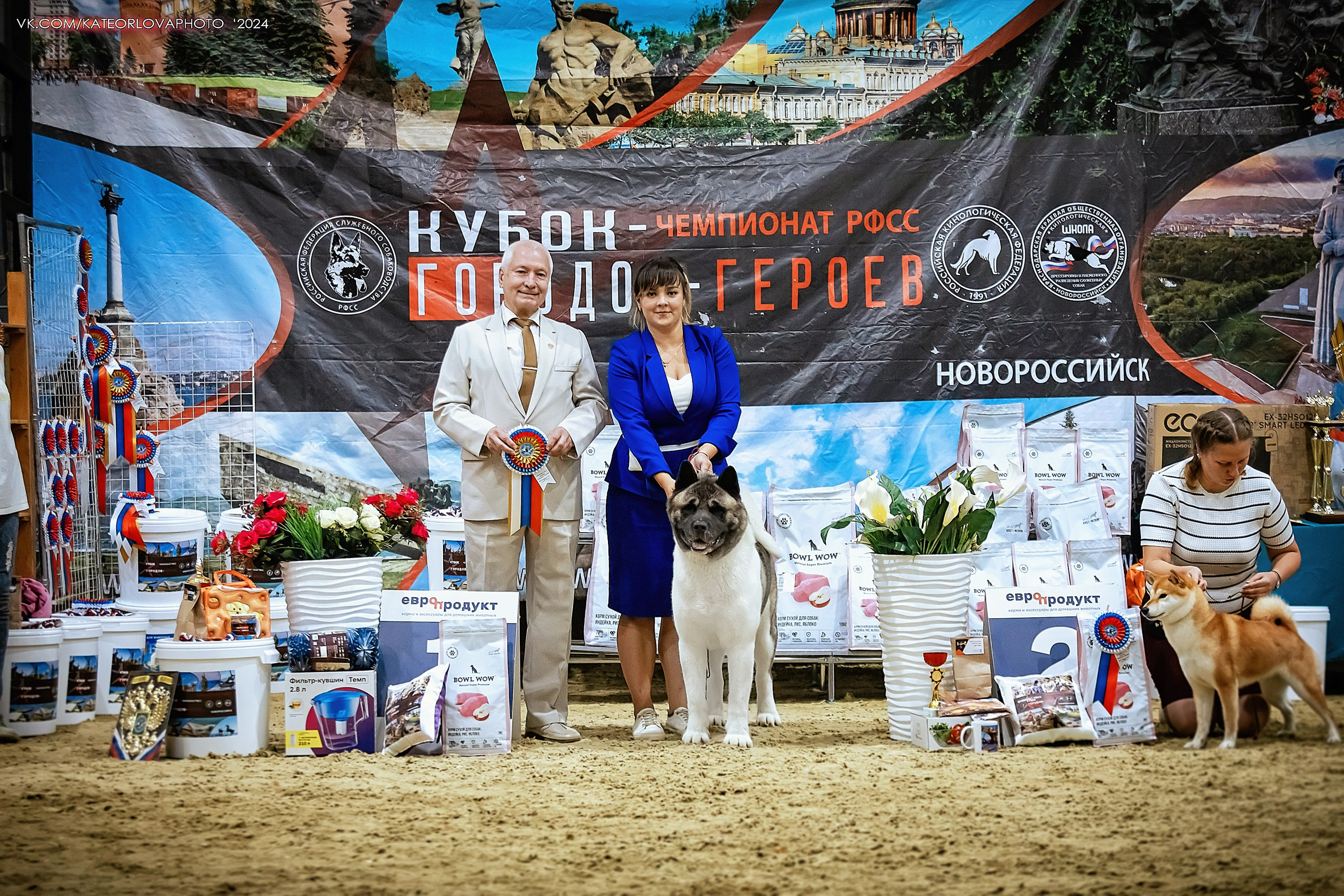 Фотосъемка собак, щенков, на выставках, фотограф анималист Россия воронеж. Питомник собак Акита, Хаски, Корги