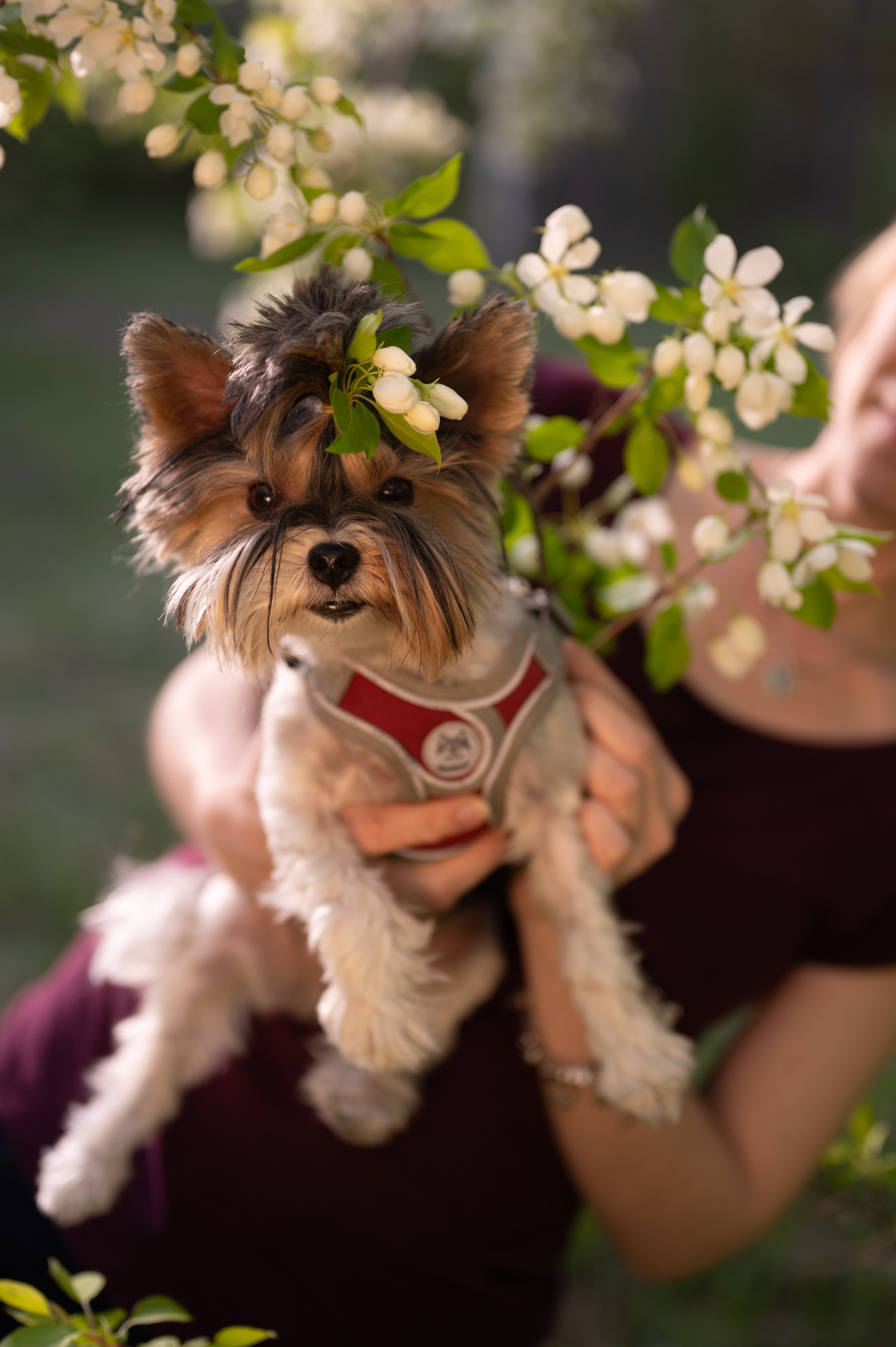 Экопарк «Затюменский» семейная. Фотограф новорожденных, семейный детский в Тюмени Татьяна Морозова
