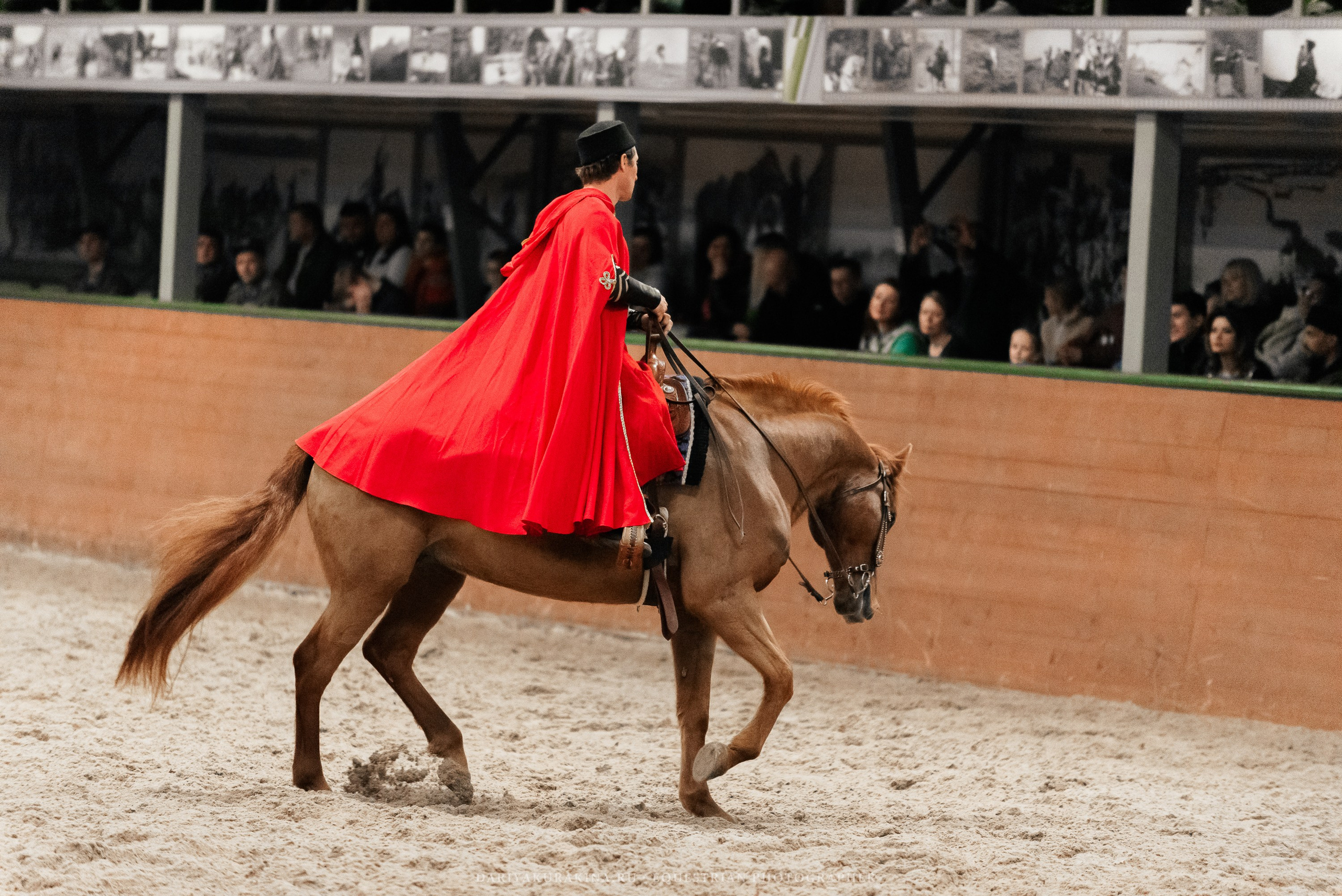 Конное представление «Дыхание Звёзд». Конный фотограф Куракина Дарья • Фотосессии с лошадьми