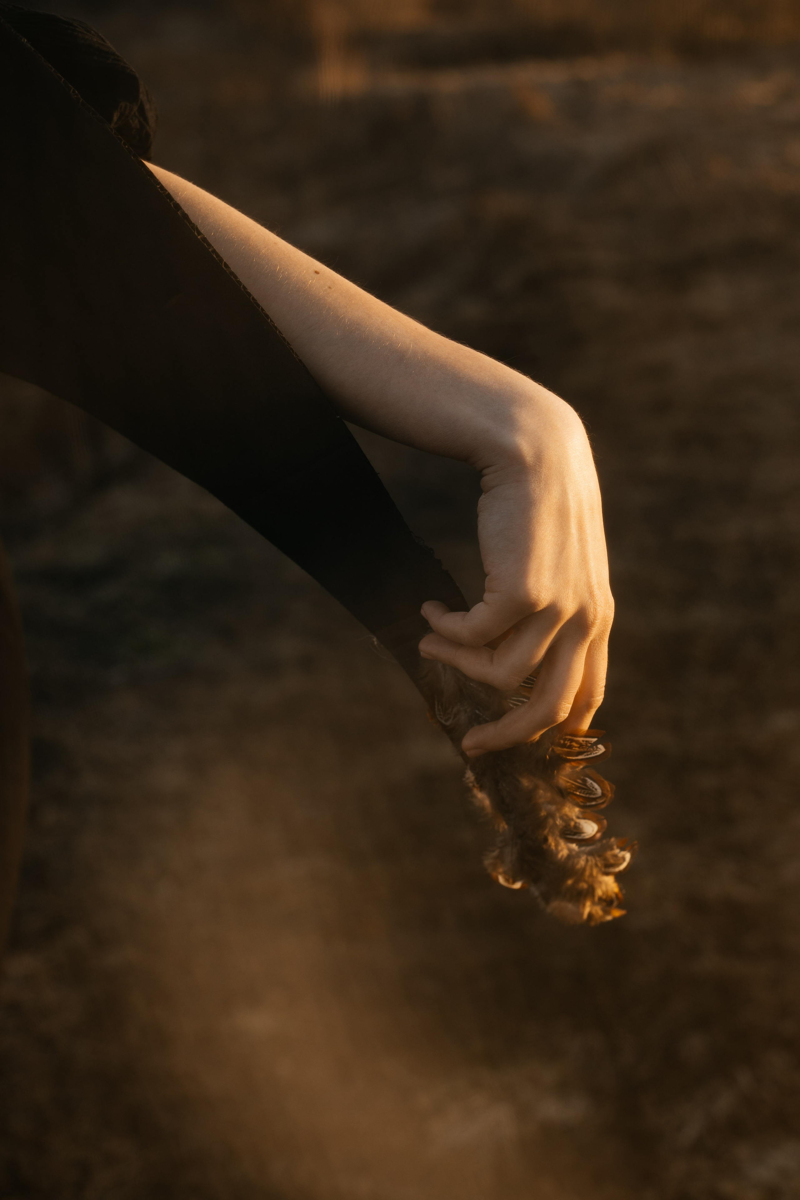 BIRD. Ваш фотограф Любовь Чистякова