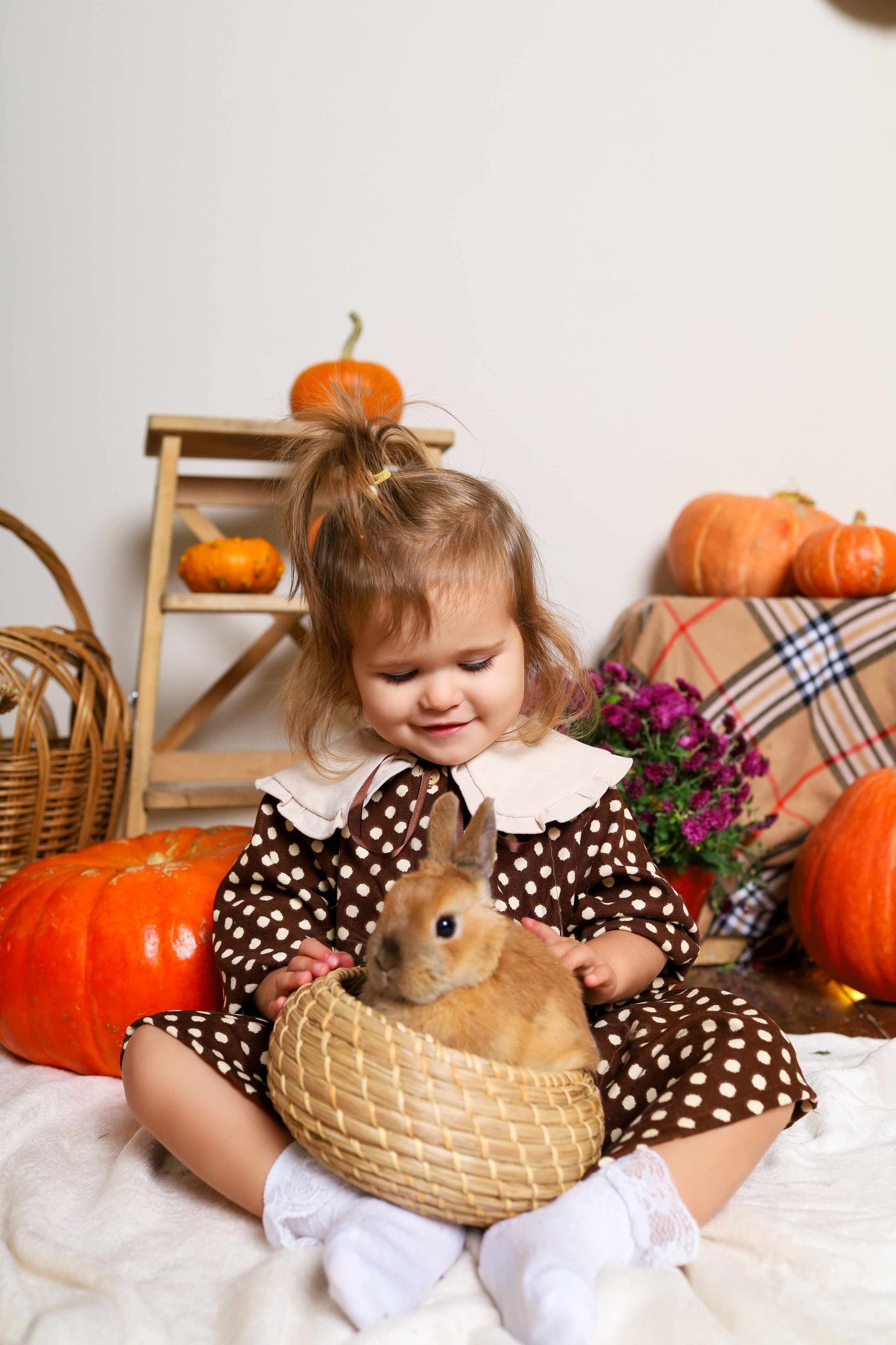 Пушистый друг. Фотограф в Туле Аушева Юлия