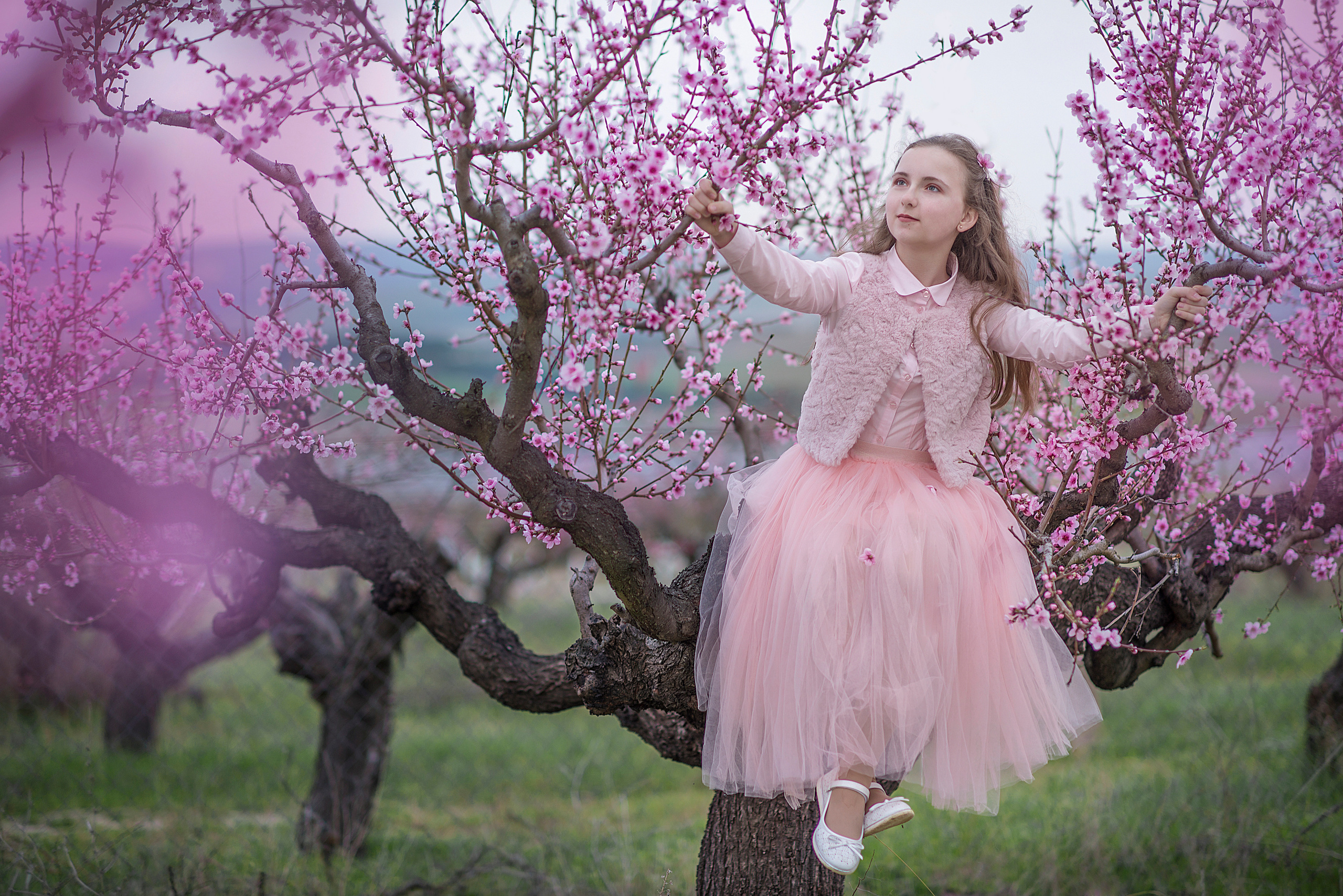 Цветущий Крым. Семейный и детский фотограф в Севастополе. Семейный фотограф в Ялте