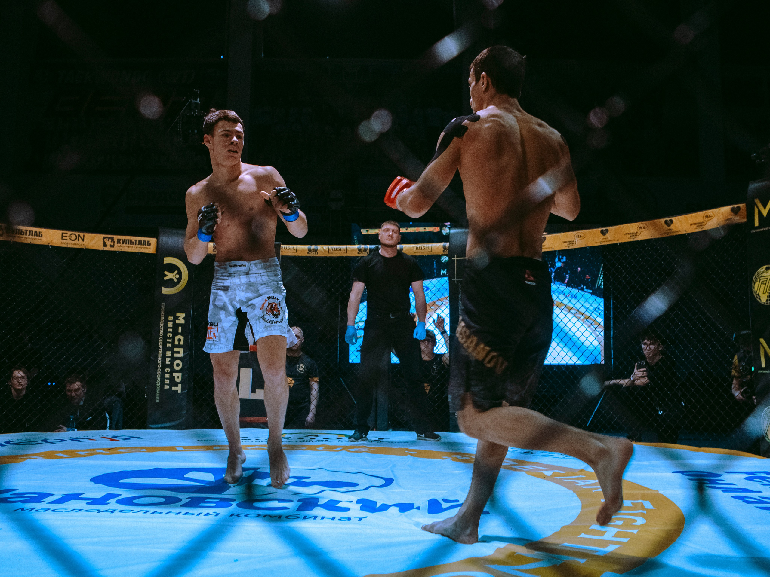 SFL 17 | Siberian Fighting League. Портретный фотограф в Москве Дарья Цезария