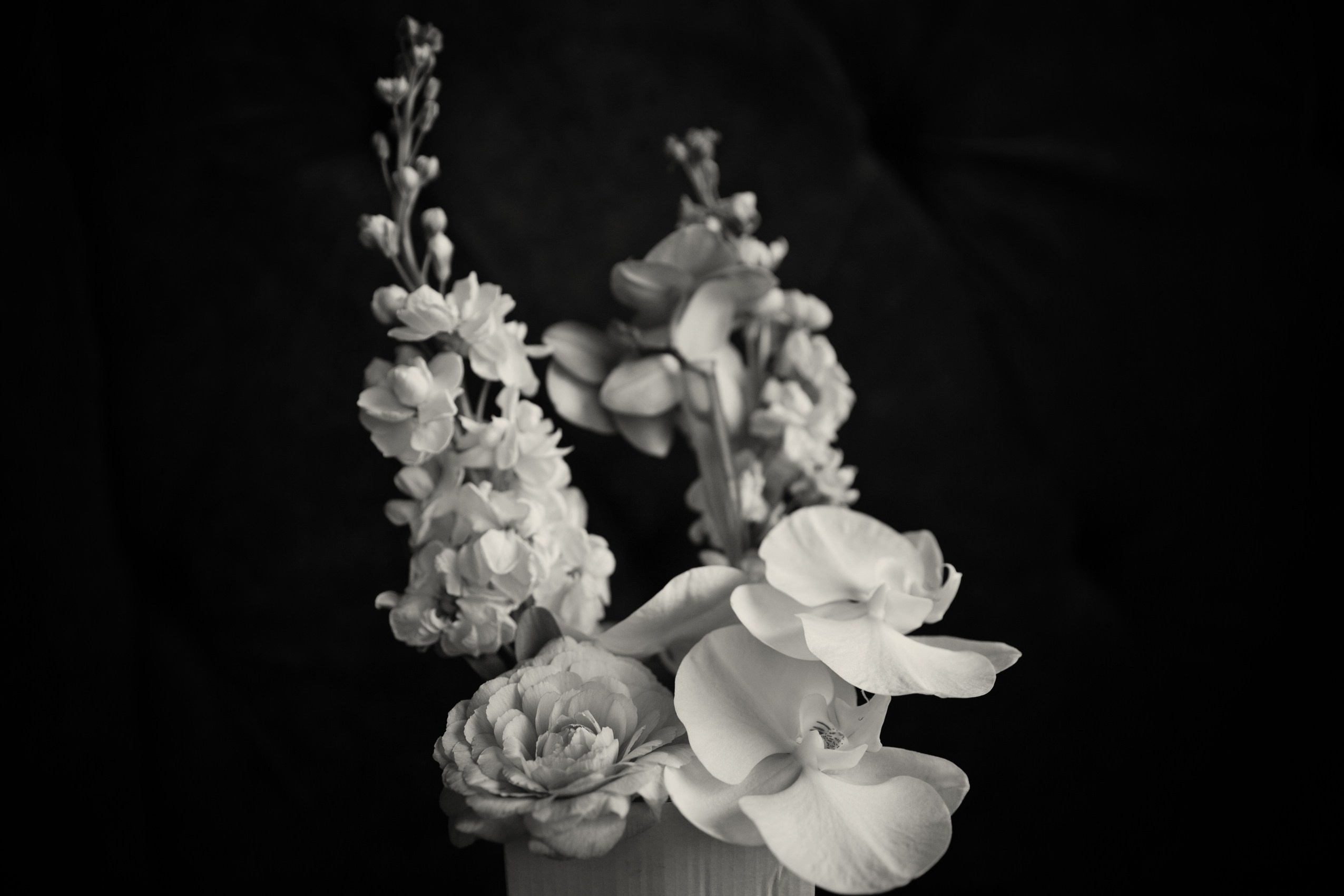 ЮЛИЯ, флорист. Photographer Anna Arzamastseva