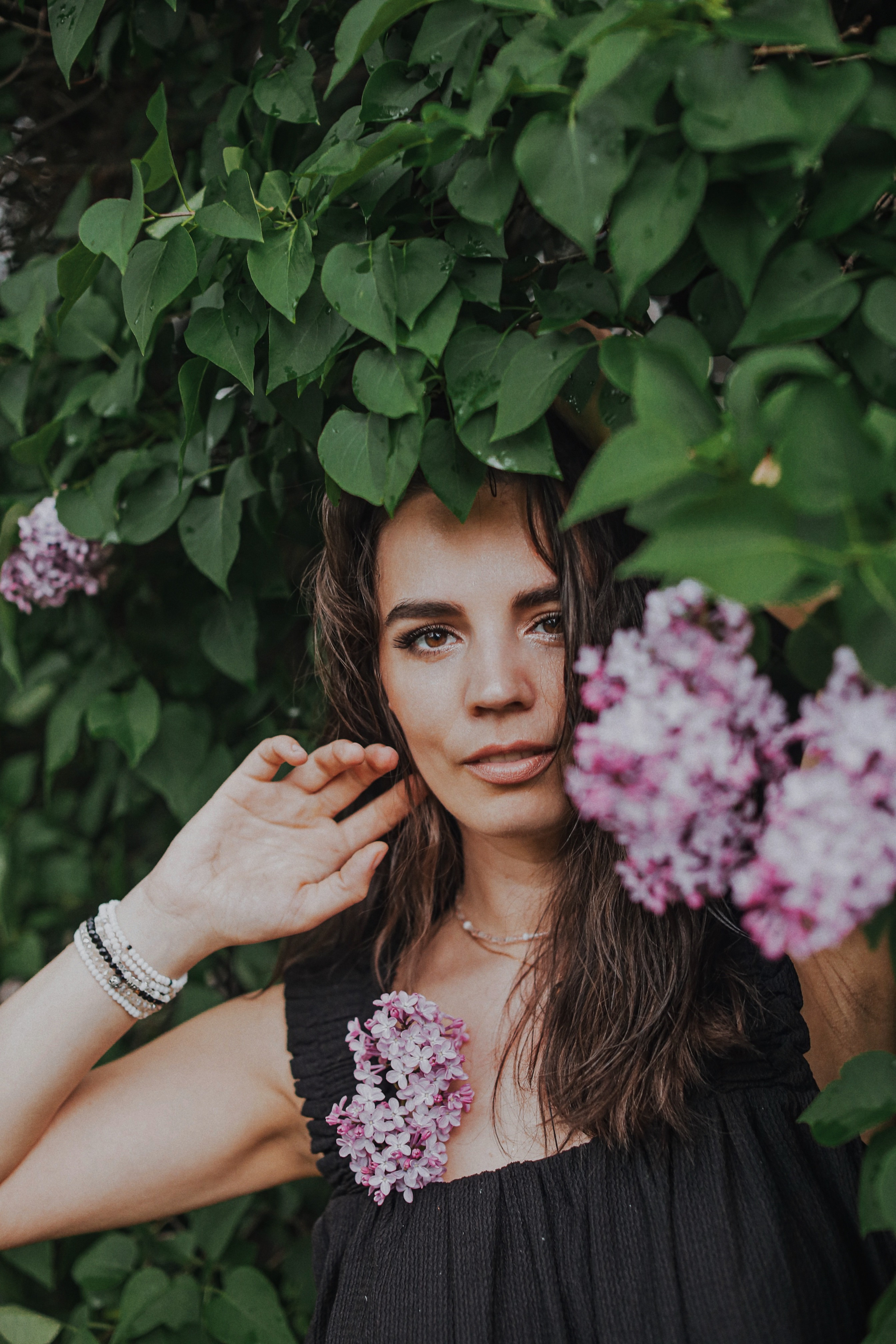 Сирень. Фотограф Анастасия Пинчук