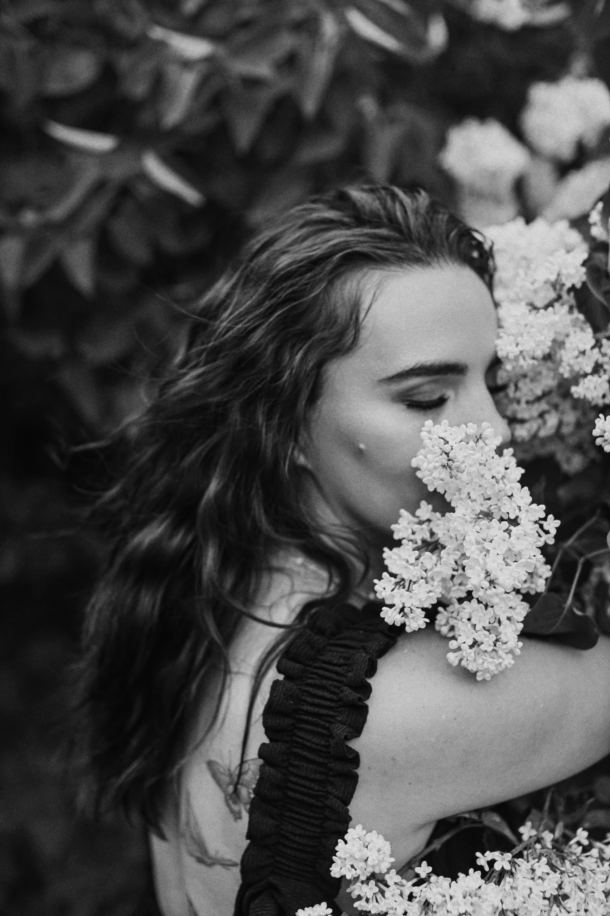 Сирень. Фотограф Анастасия Пинчук