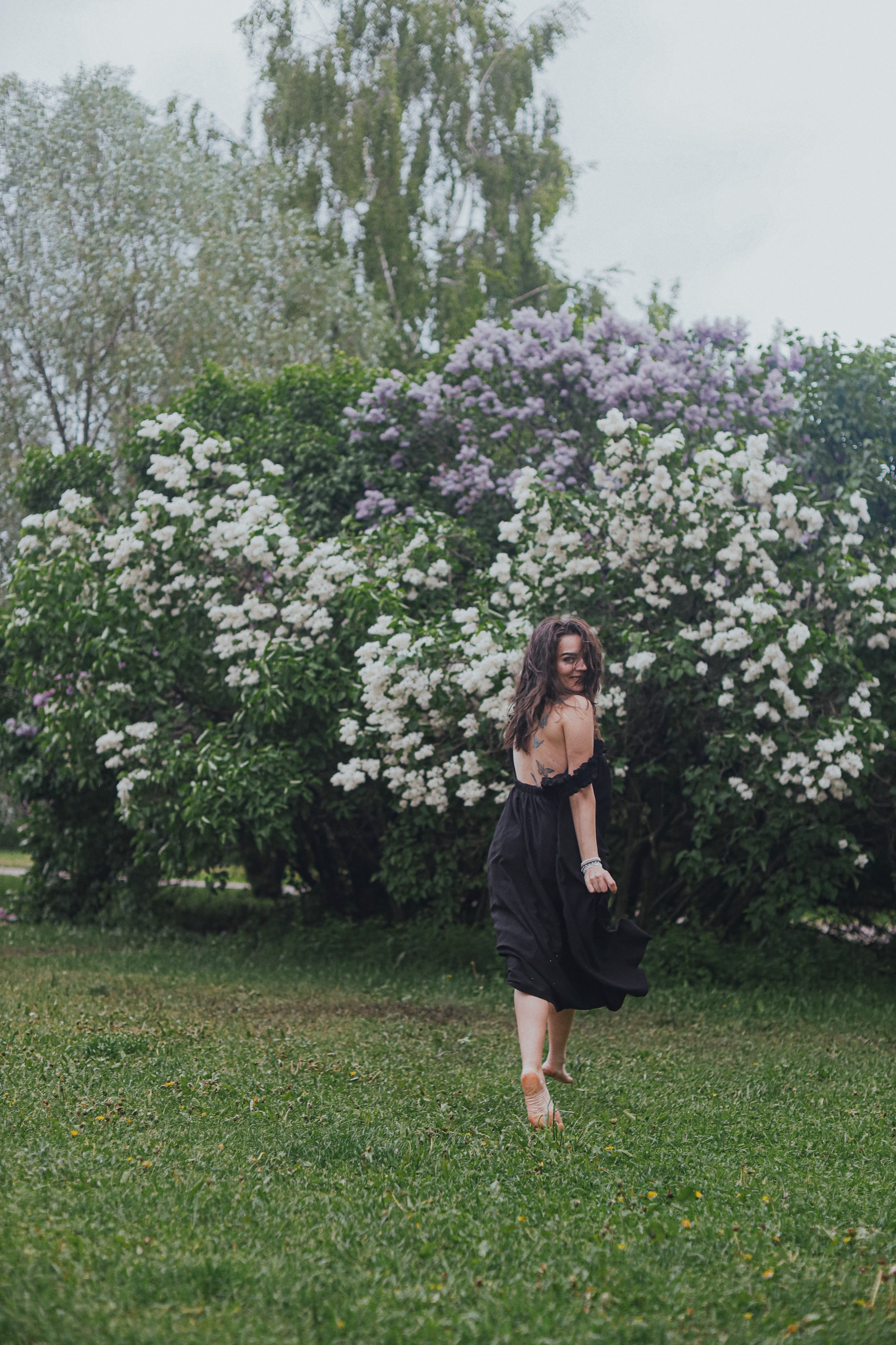 Сирень. Фотограф Анастасия Пинчук