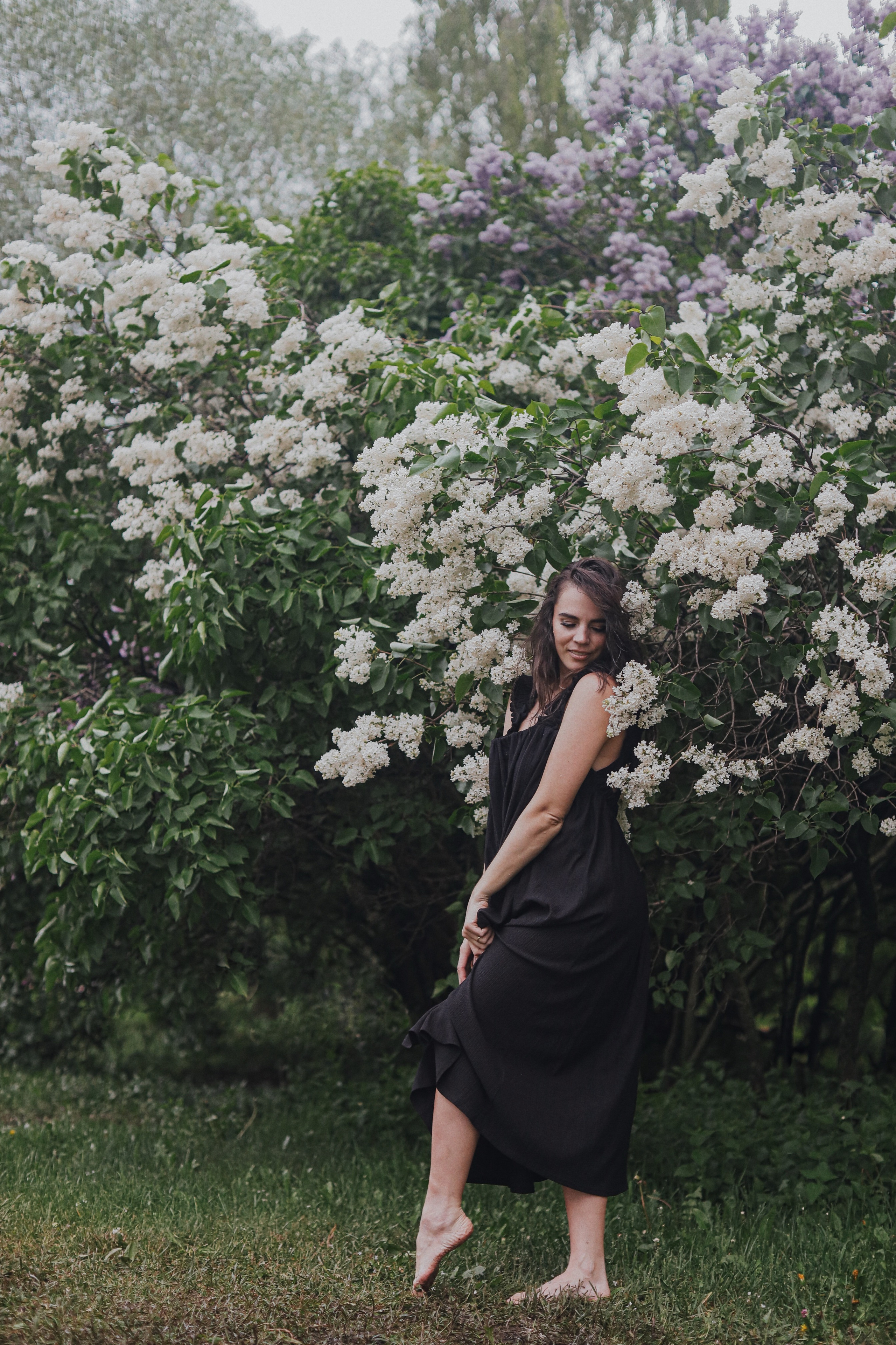 Сирень. Фотограф Анастасия Пинчук