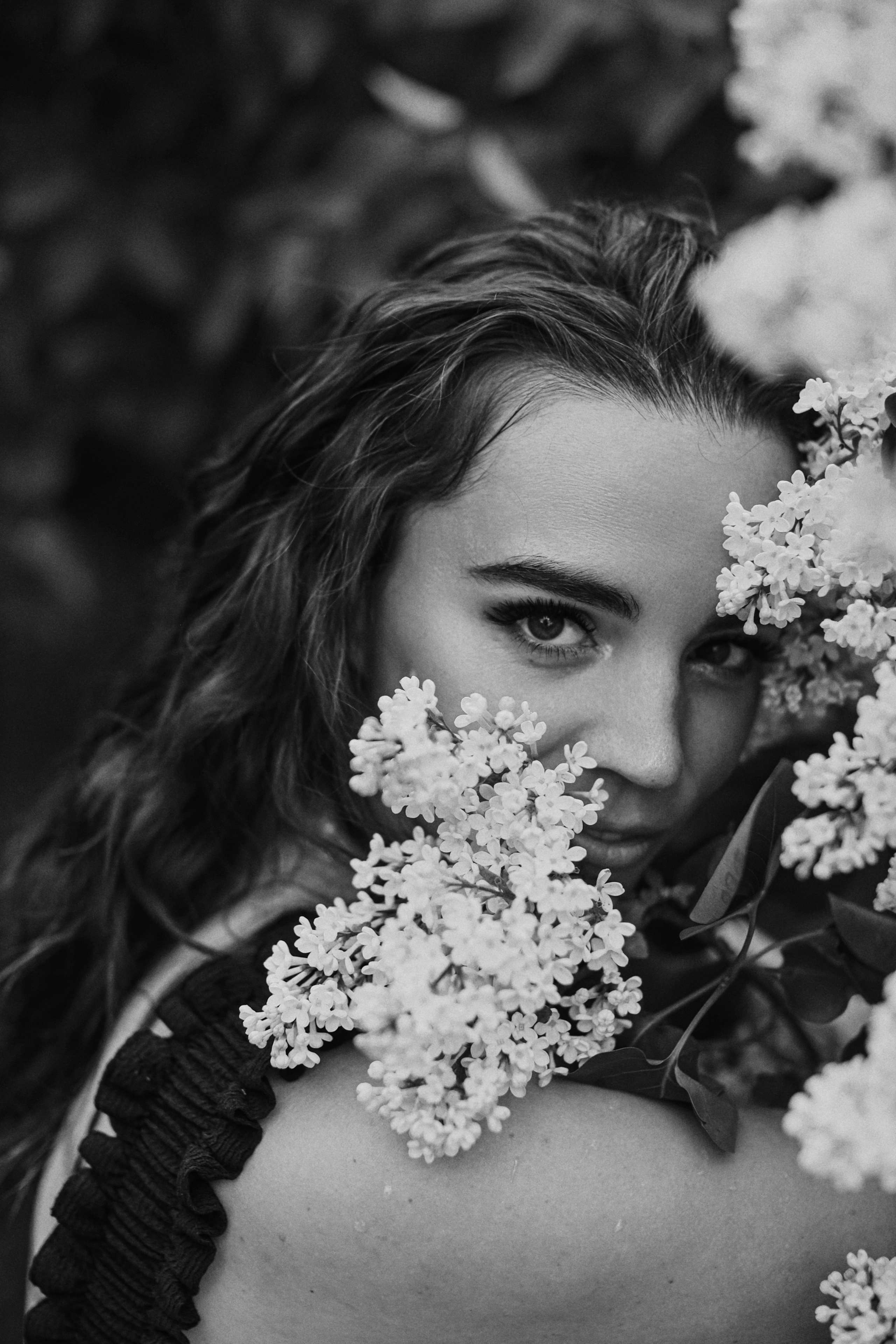 Сирень. Фотограф Анастасия Пинчук