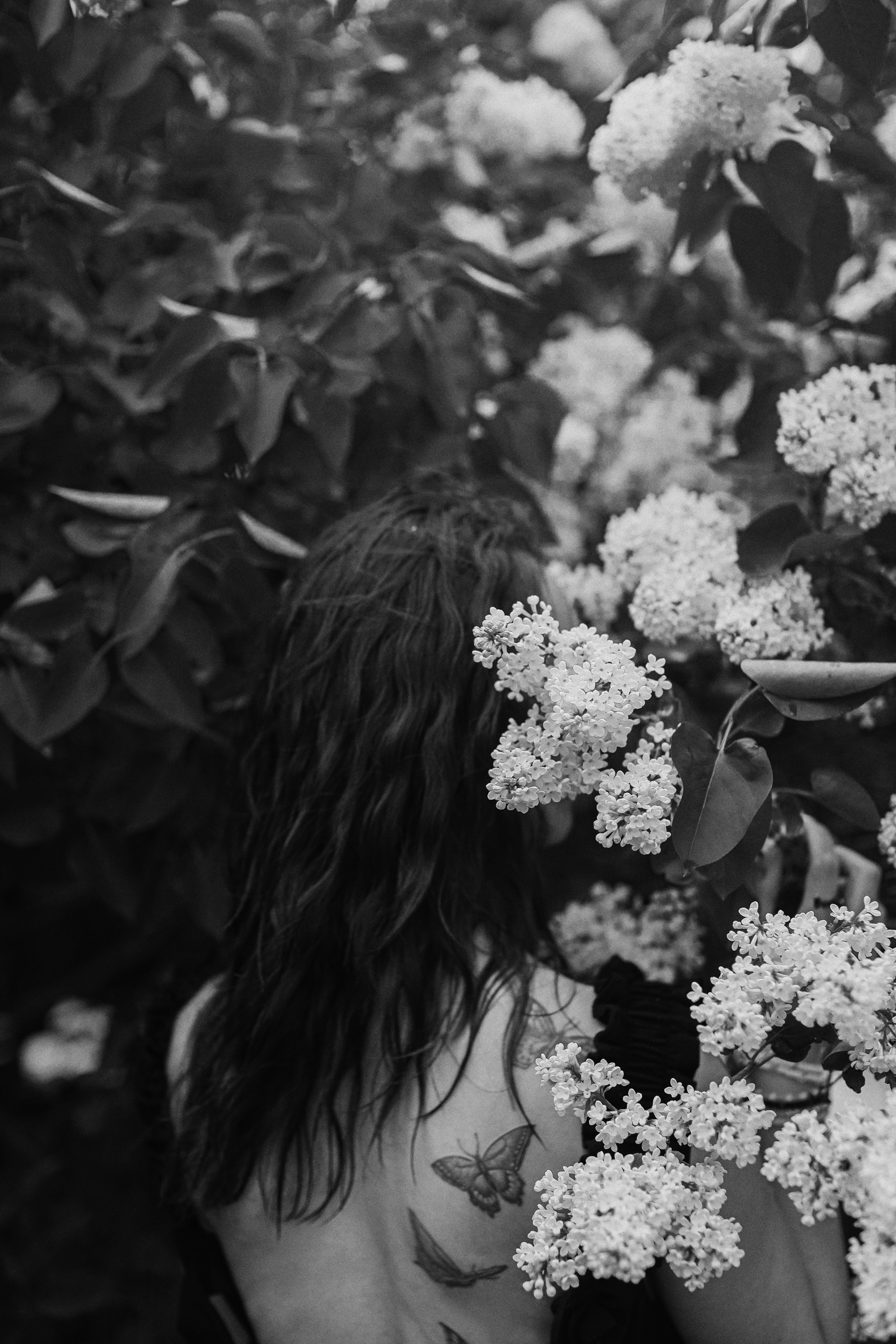 Сирень. Фотограф Анастасия Пинчук