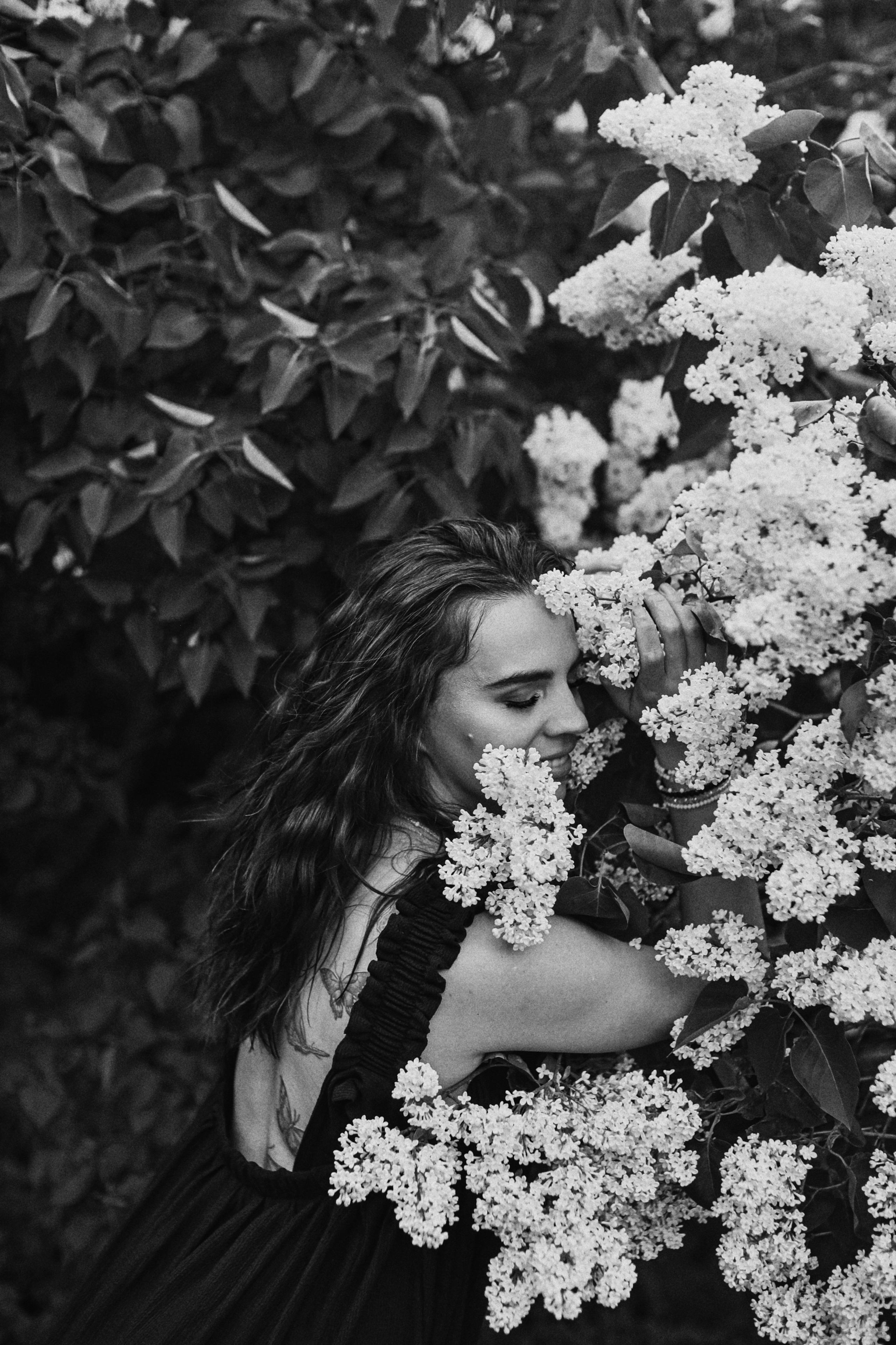 Сирень. Фотограф Анастасия Пинчук