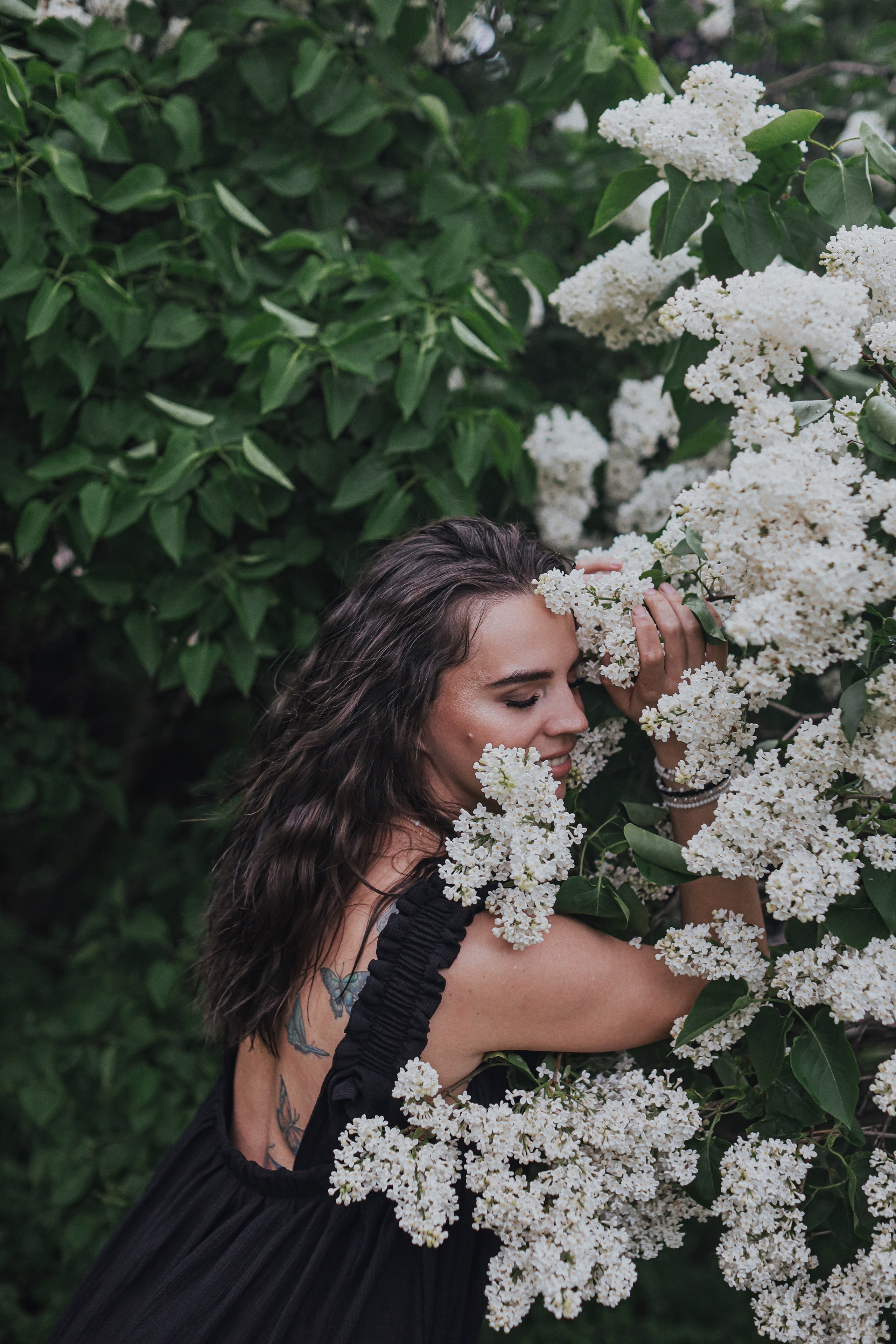 Сирень. Фотограф Анастасия Пинчук