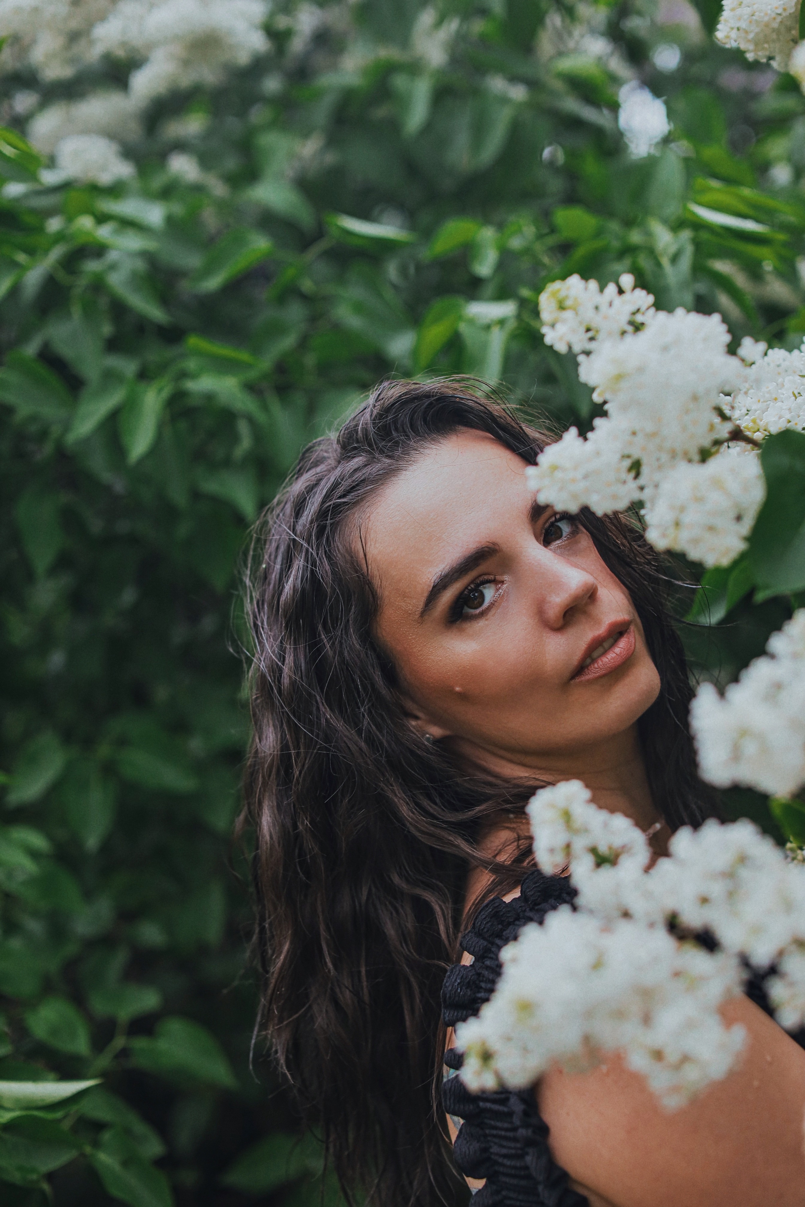 Сирень. Фотограф Анастасия Пинчук