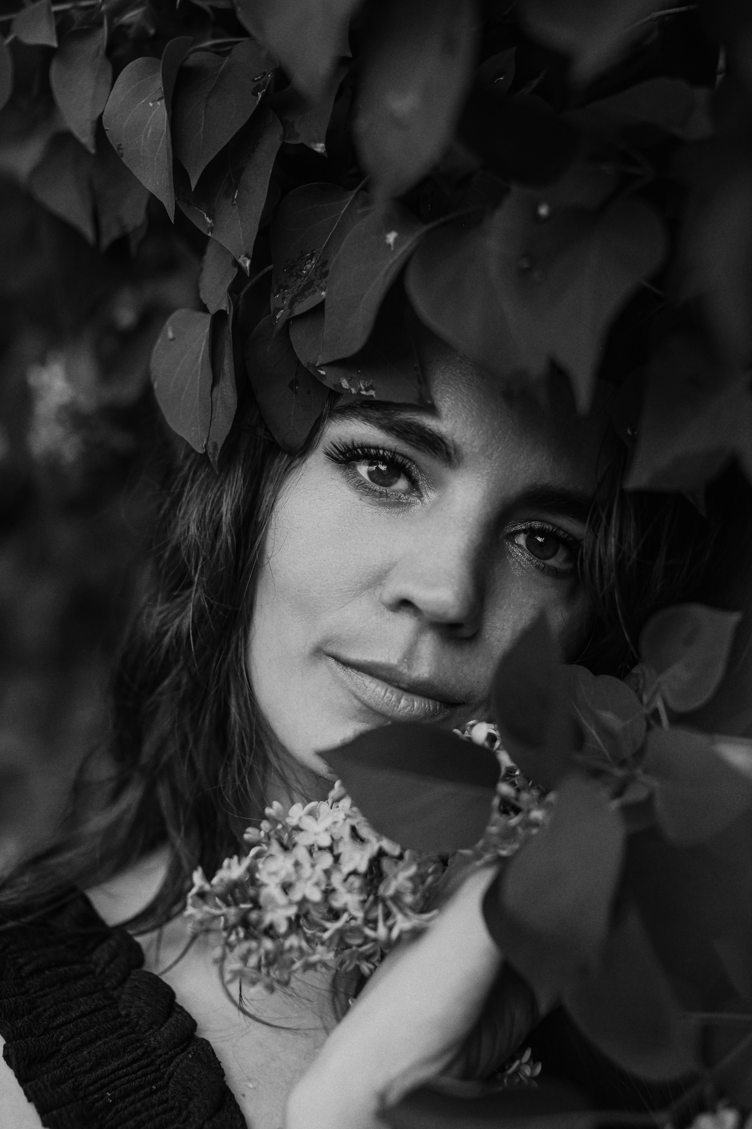 Сирень. Фотограф Анастасия Пинчук