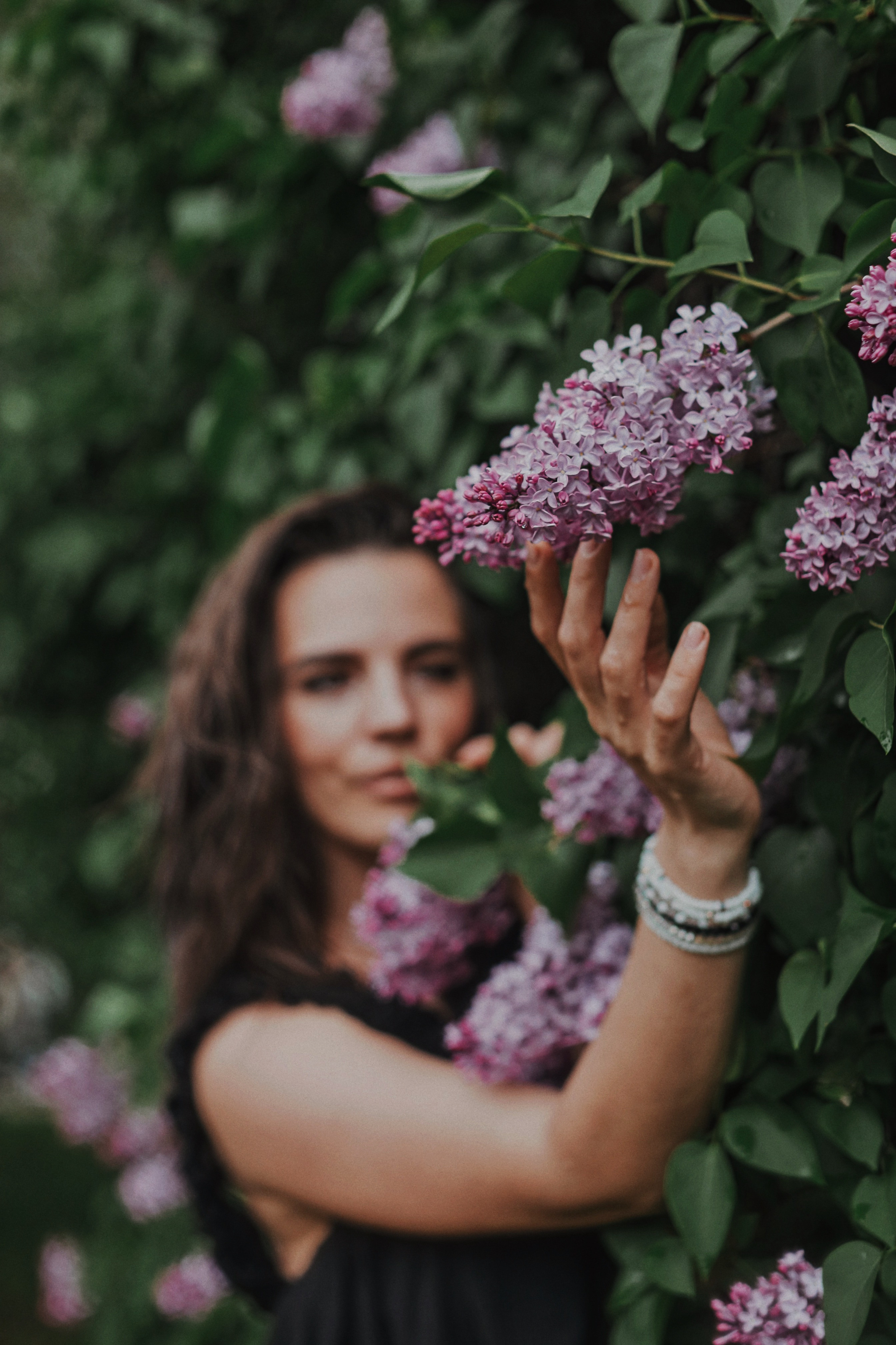 Сирень. Фотограф Анастасия Пинчук