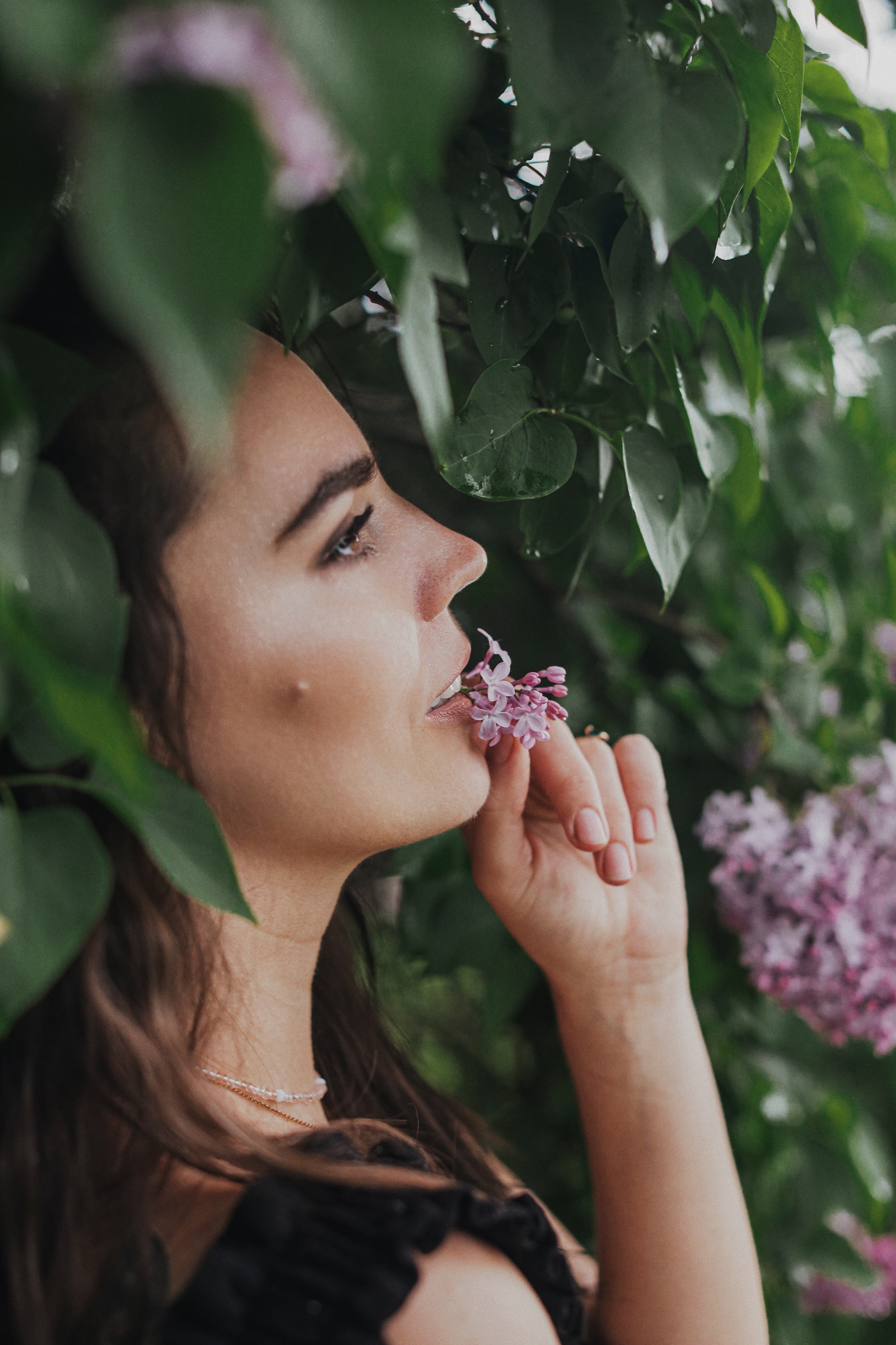 Сирень. Фотограф Анастасия Пинчук