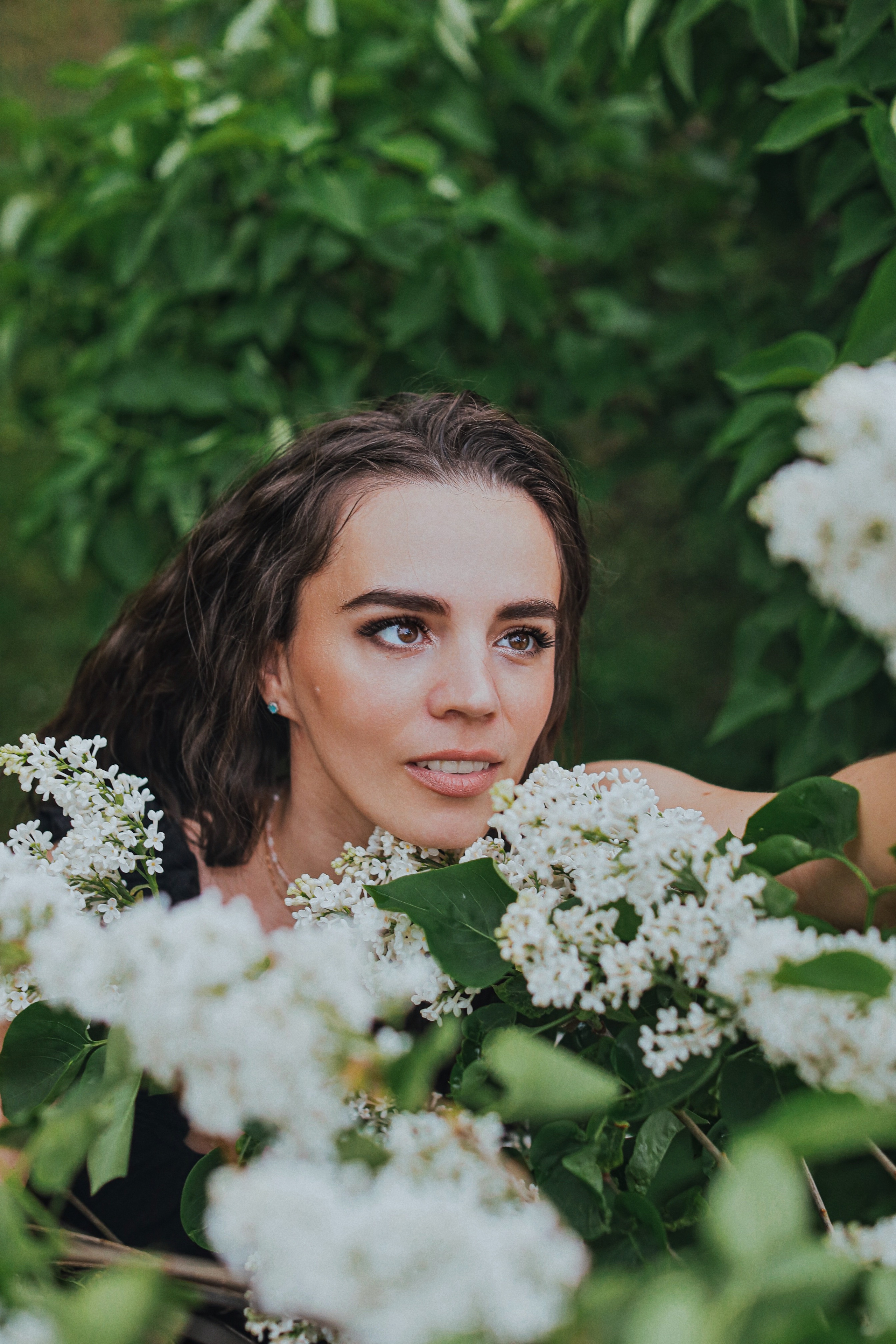 Сирень. Фотограф Анастасия Пинчук