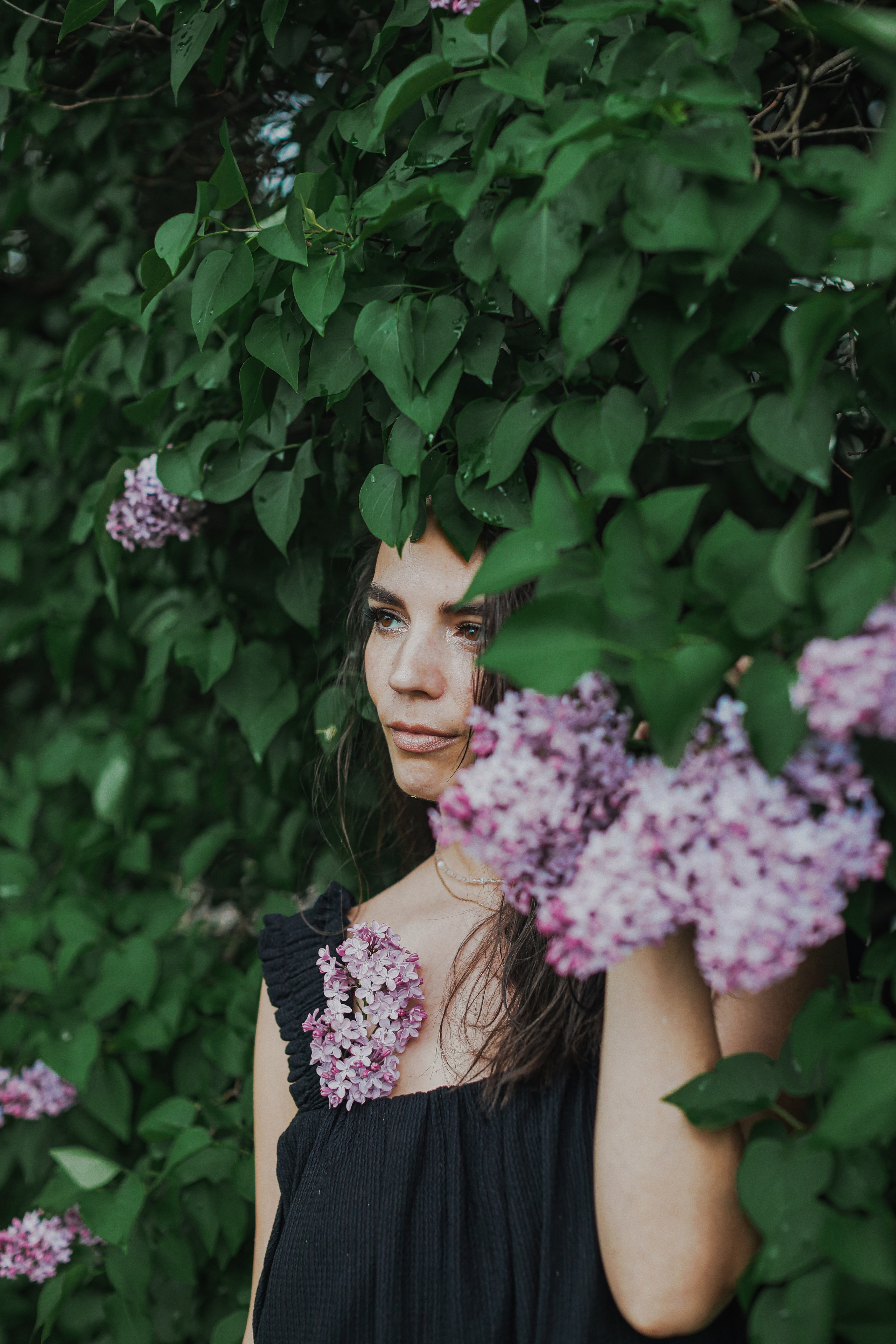 Сирень. Фотограф Анастасия Пинчук