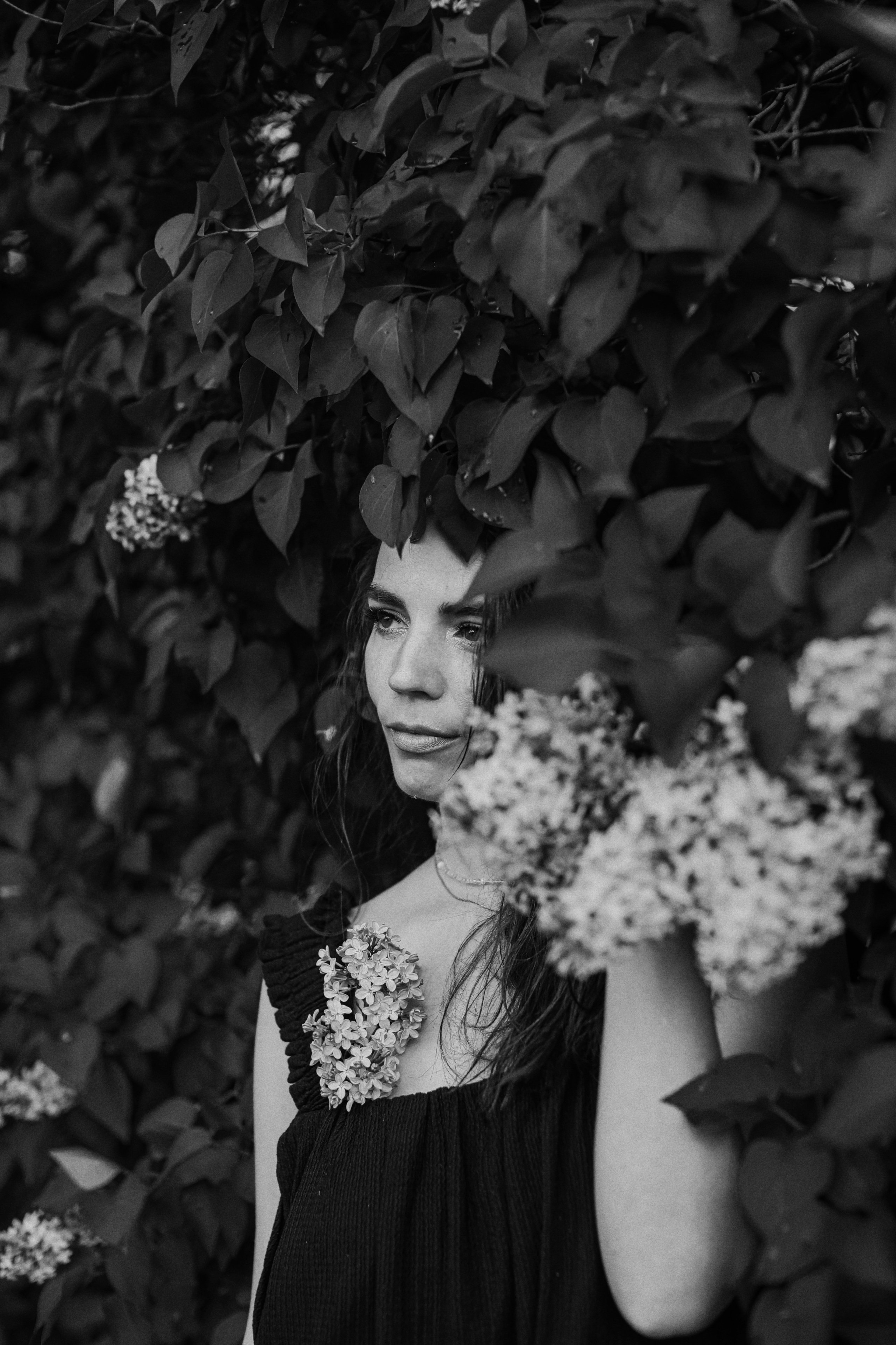 Сирень. Фотограф Анастасия Пинчук