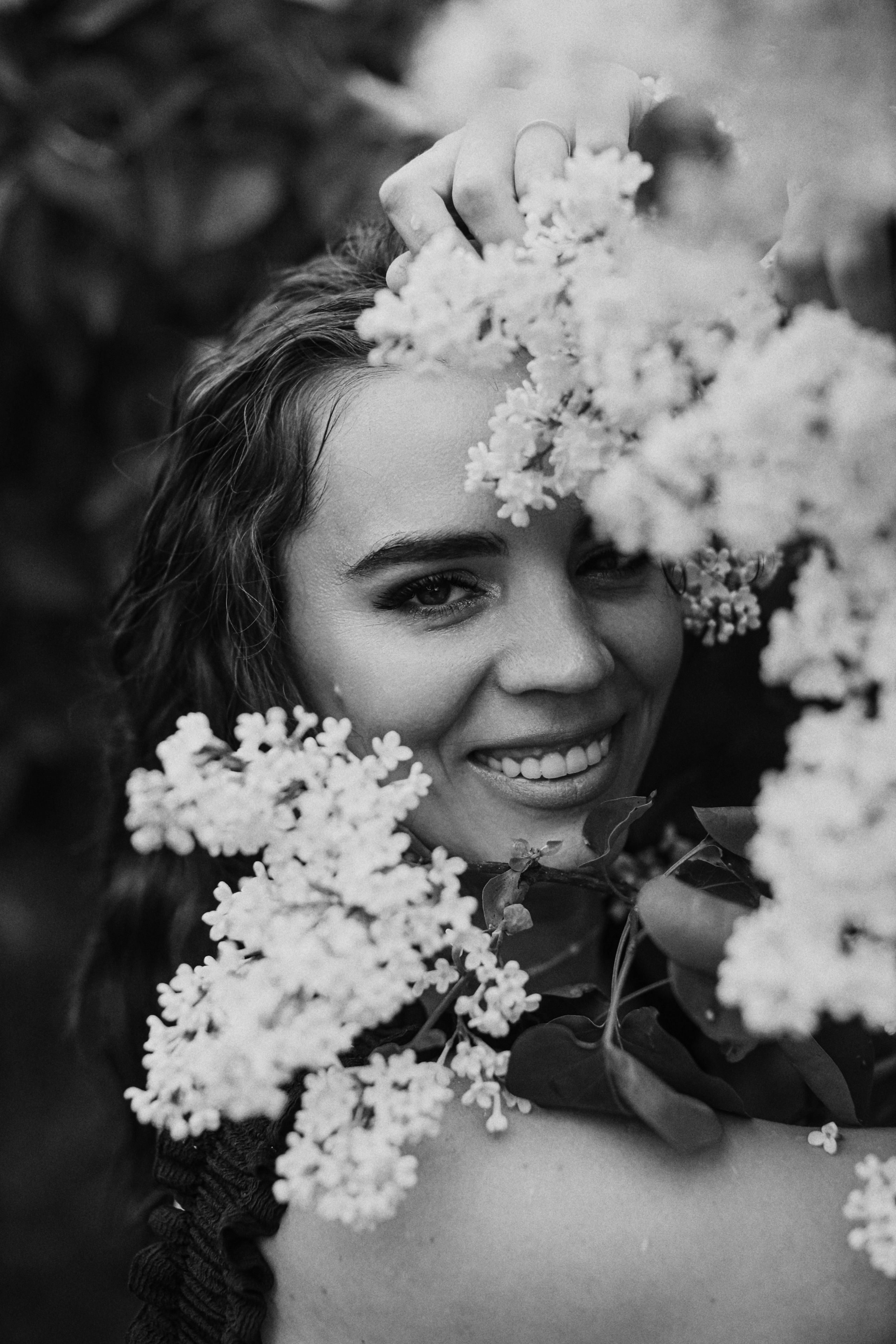 Сирень. Фотограф Анастасия Пинчук