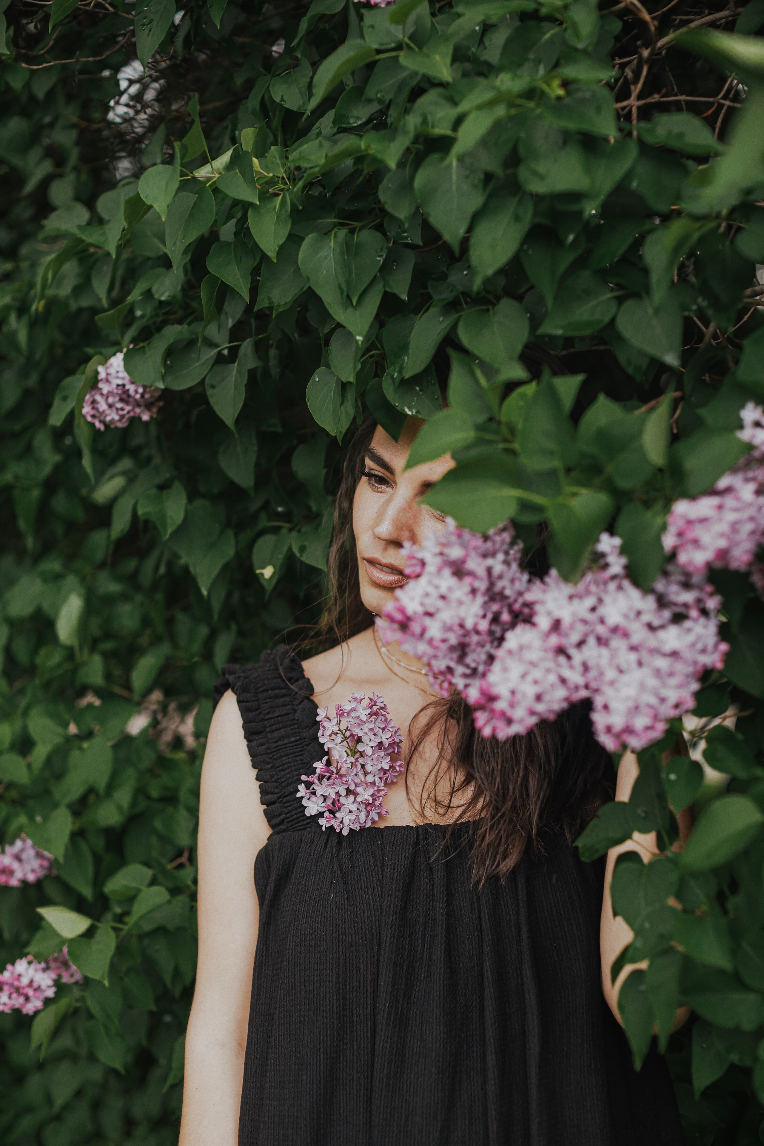 Сирень. Фотограф Анастасия Пинчук