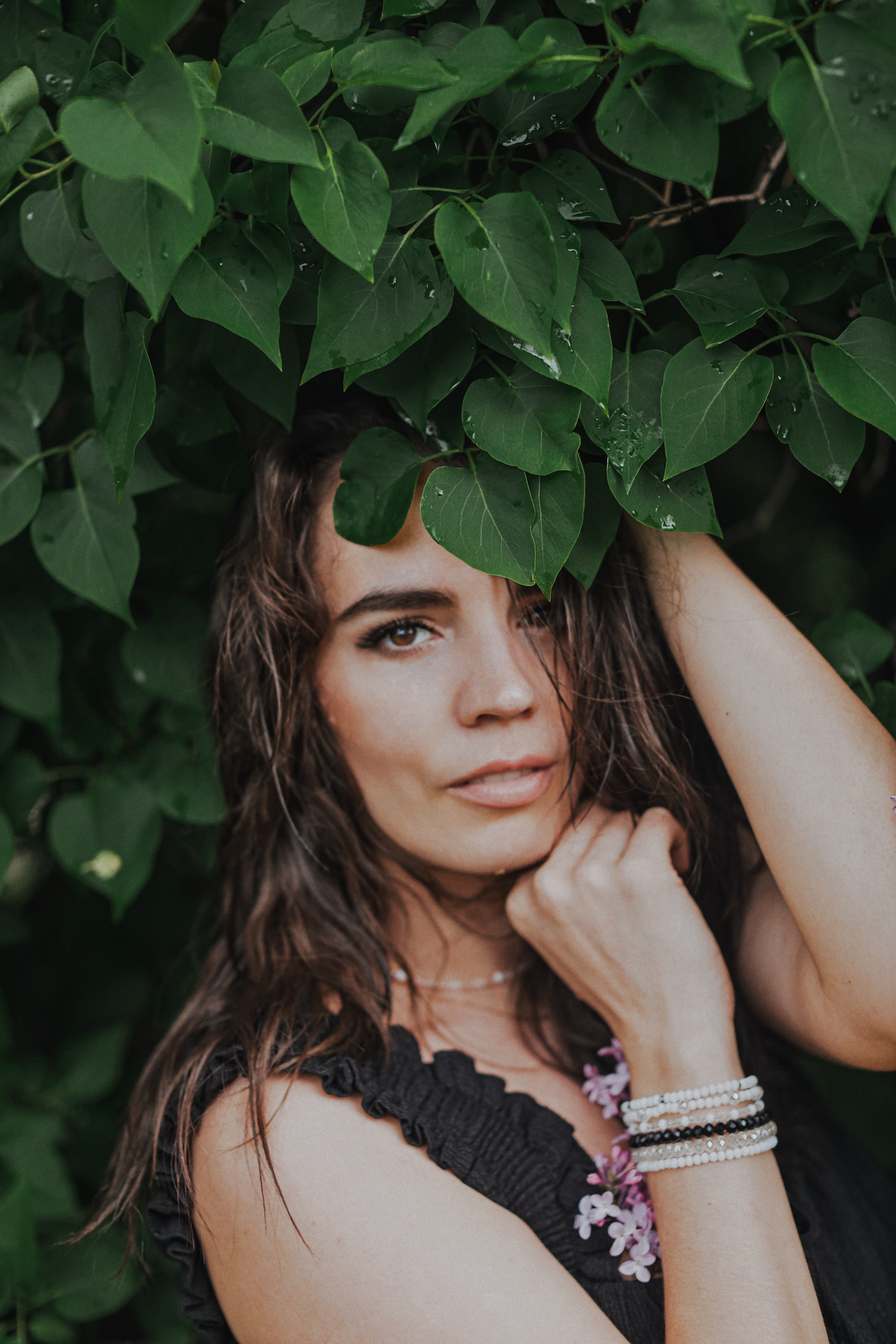 Сирень. Фотограф Анастасия Пинчук