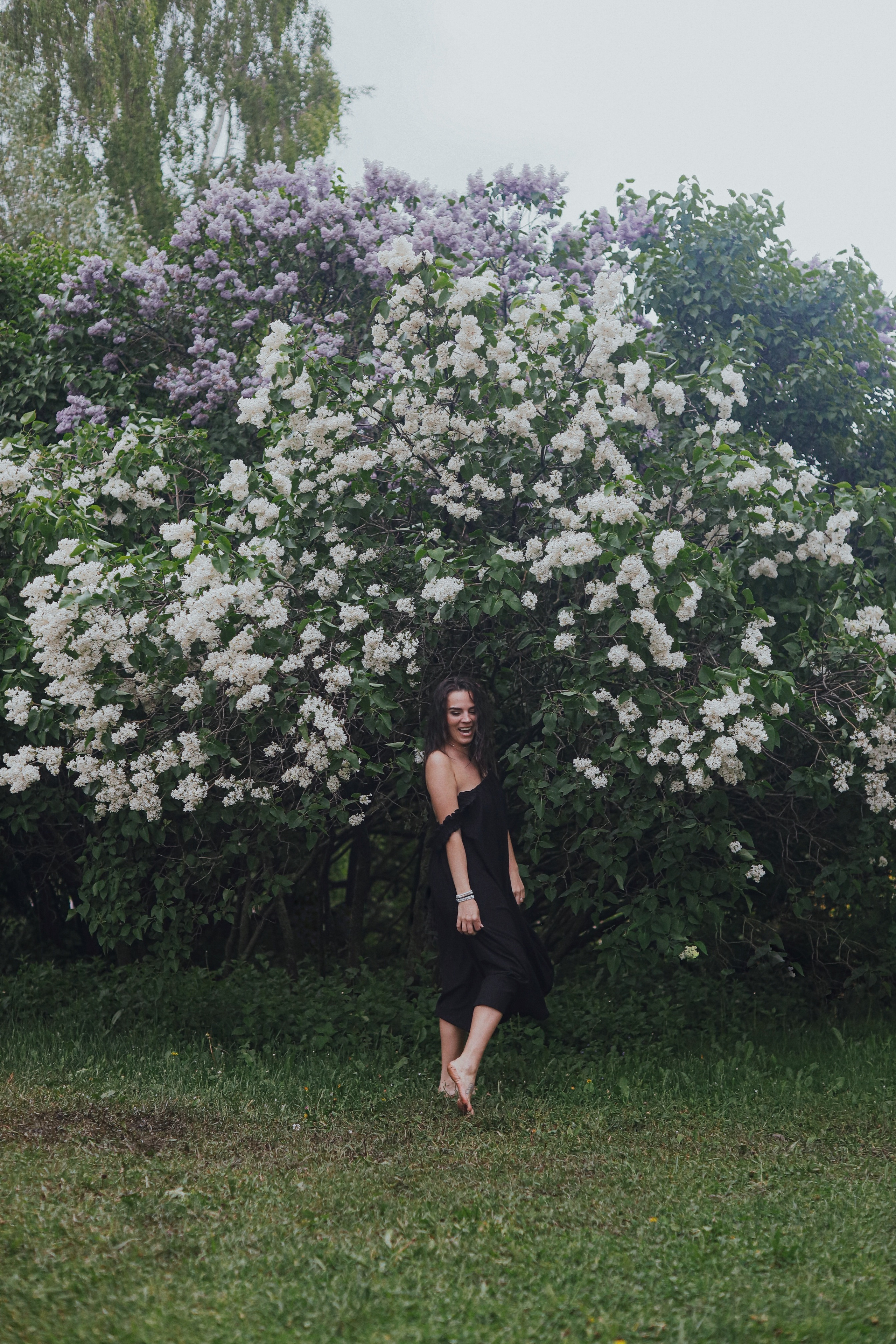 Сирень. Фотограф Анастасия Пинчук