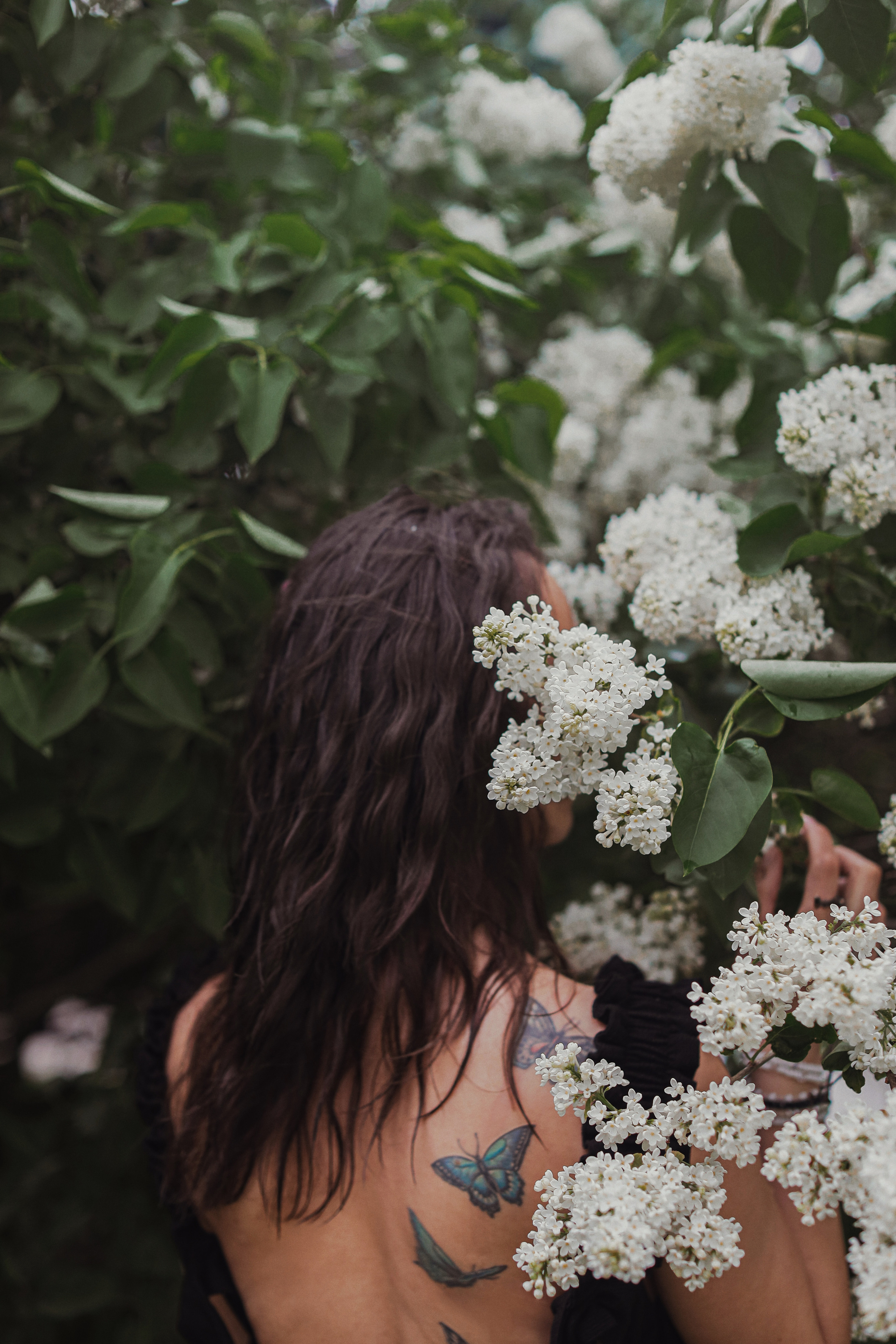 Сирень. Фотограф Анастасия Пинчук