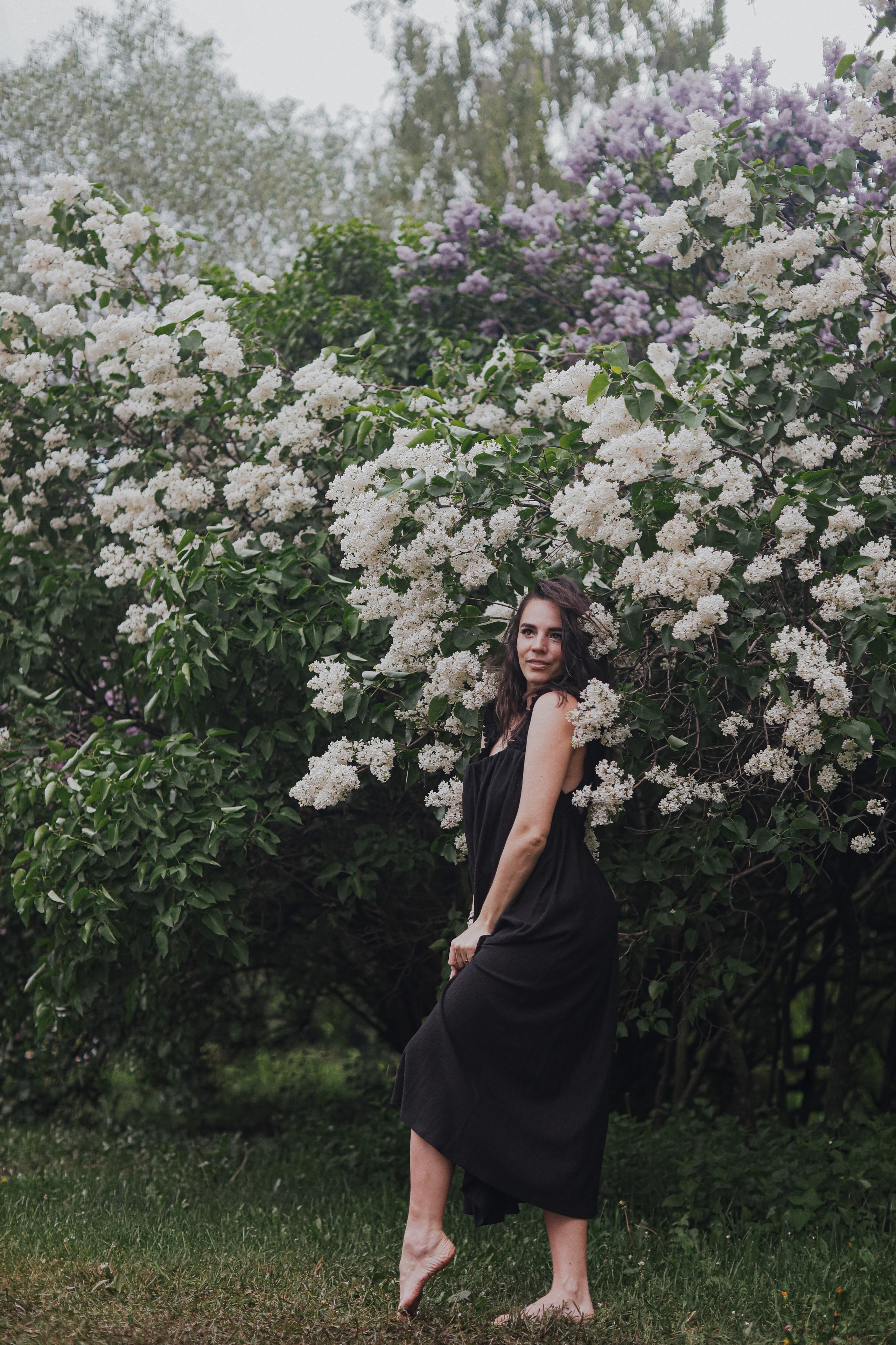 Сирень. Фотограф Анастасия Пинчук