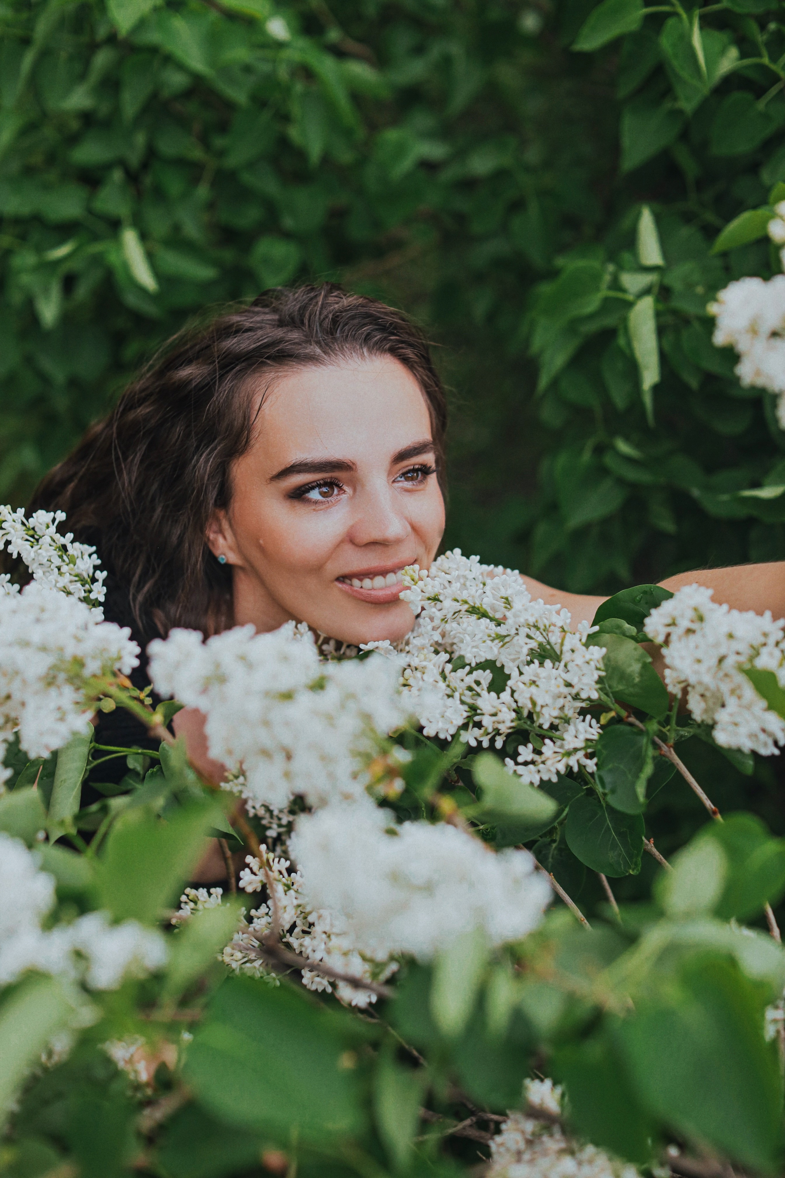 Сирень. Фотограф Анастасия Пинчук