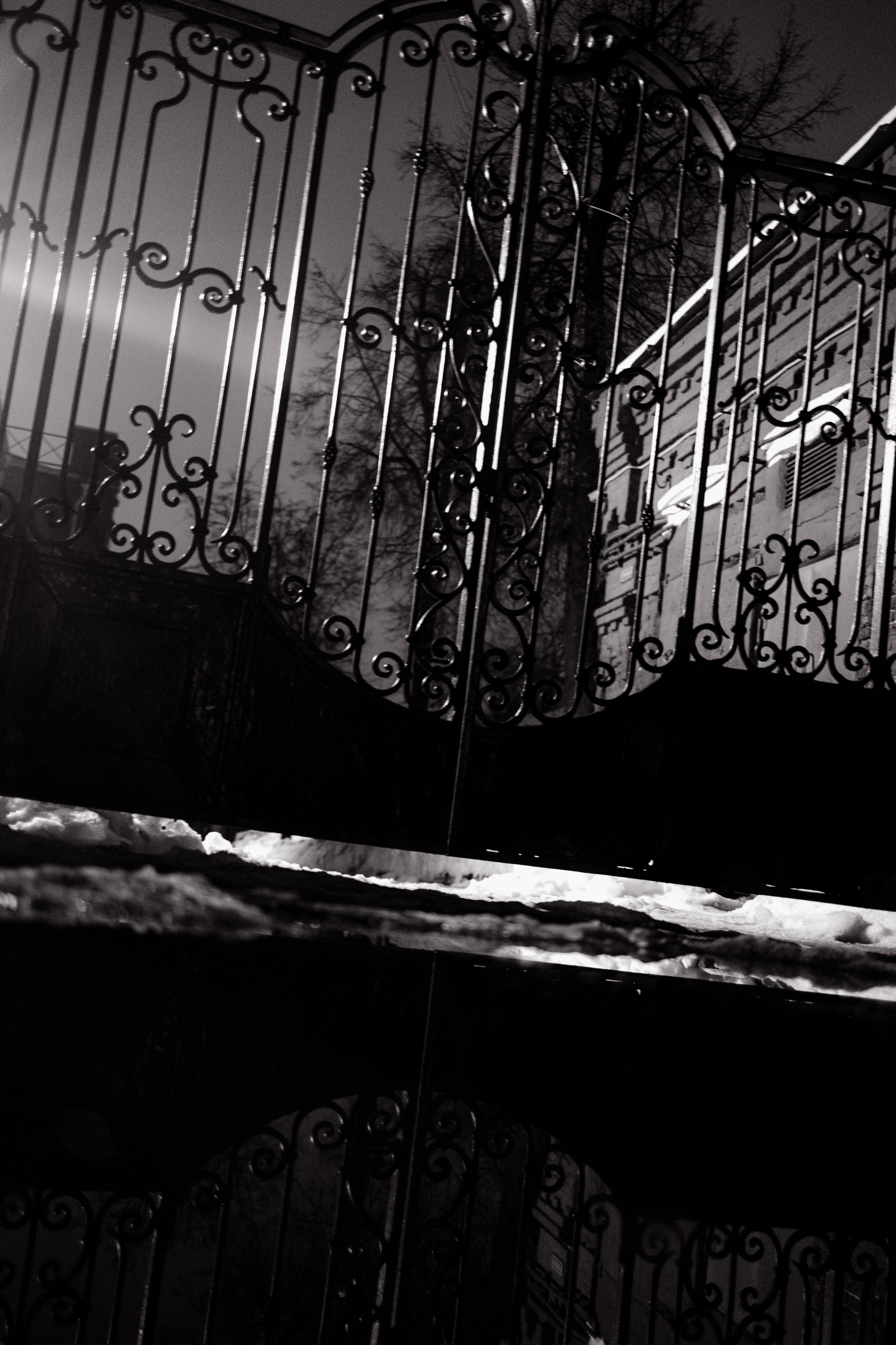 Бонд с кнопкой. Gorsvet.ph