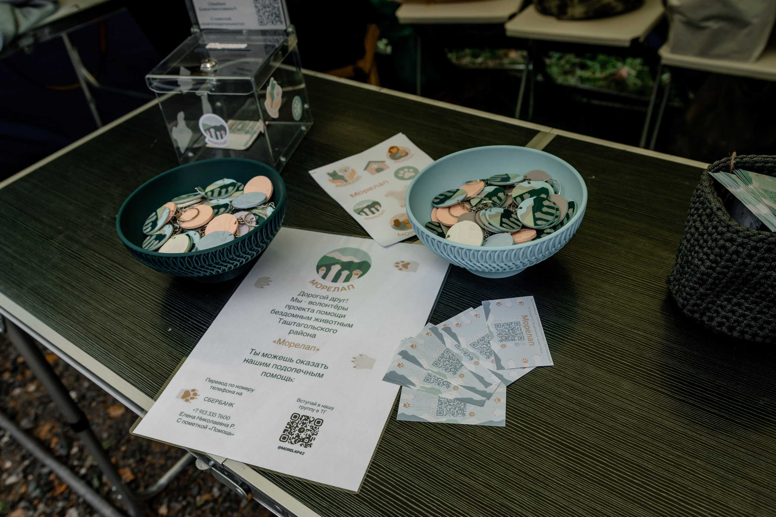 Дог-треккинг