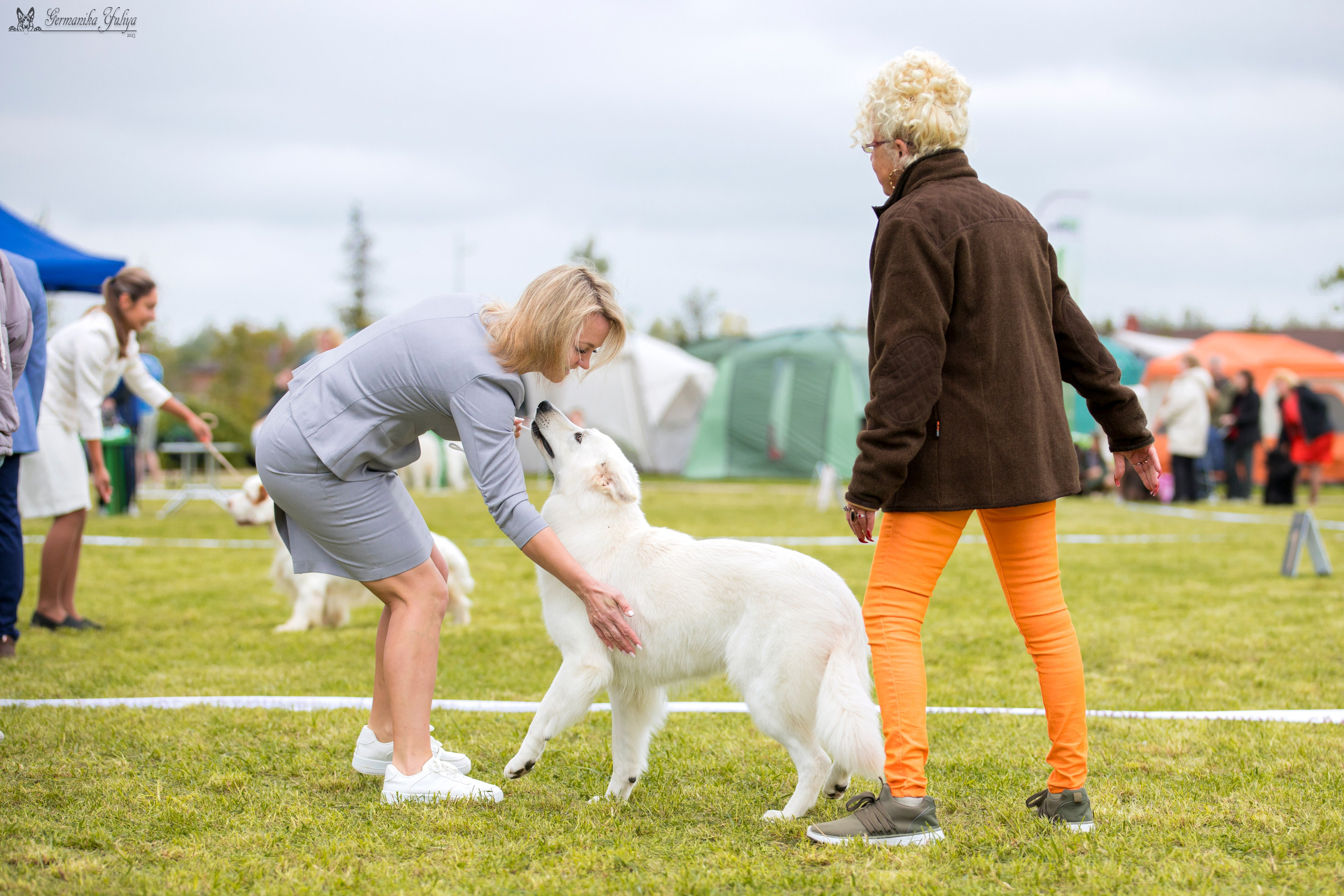 Переславль 9-10.09.2023. Фотограф-анималист Юлия Германика