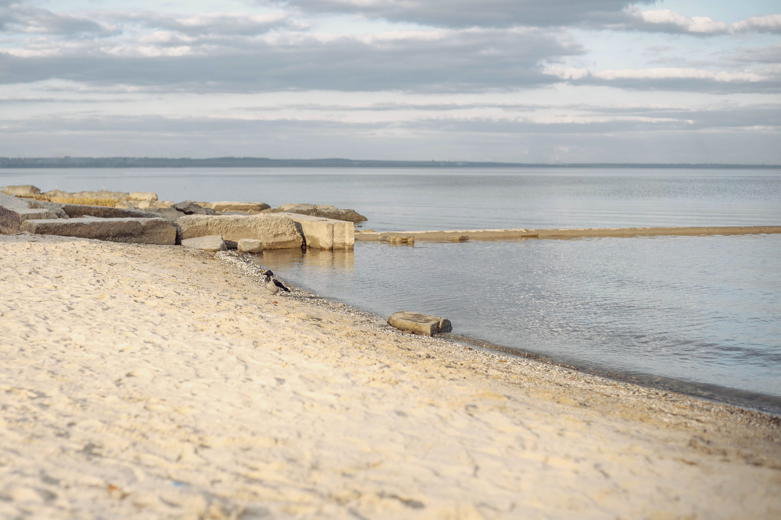 Осеннее море. Семейный и детский фотограф в Ростове-на-Дону Мария Курутина