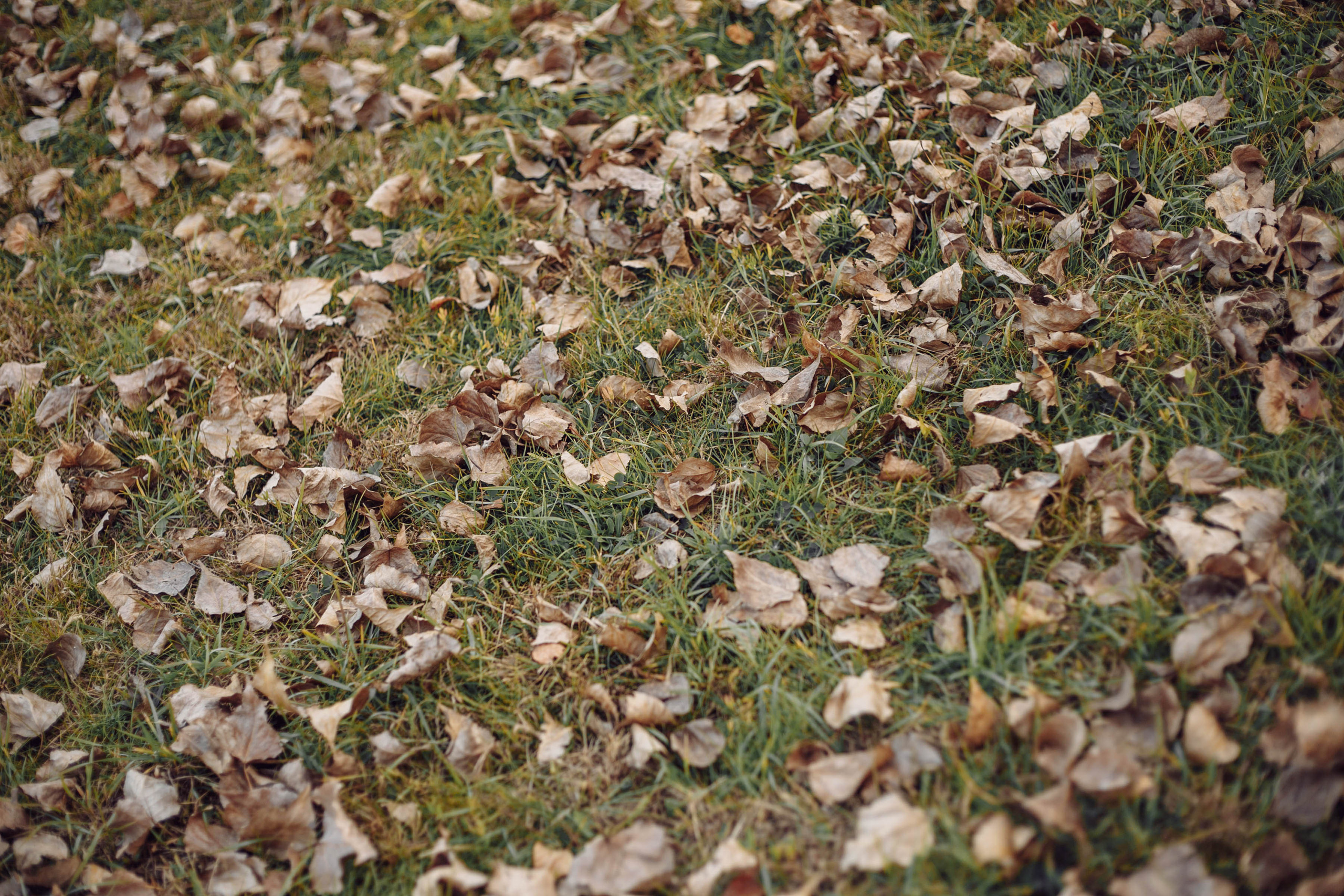 Осеннее море. Семейный и детский фотограф в Ростове-на-Дону Мария Курутина