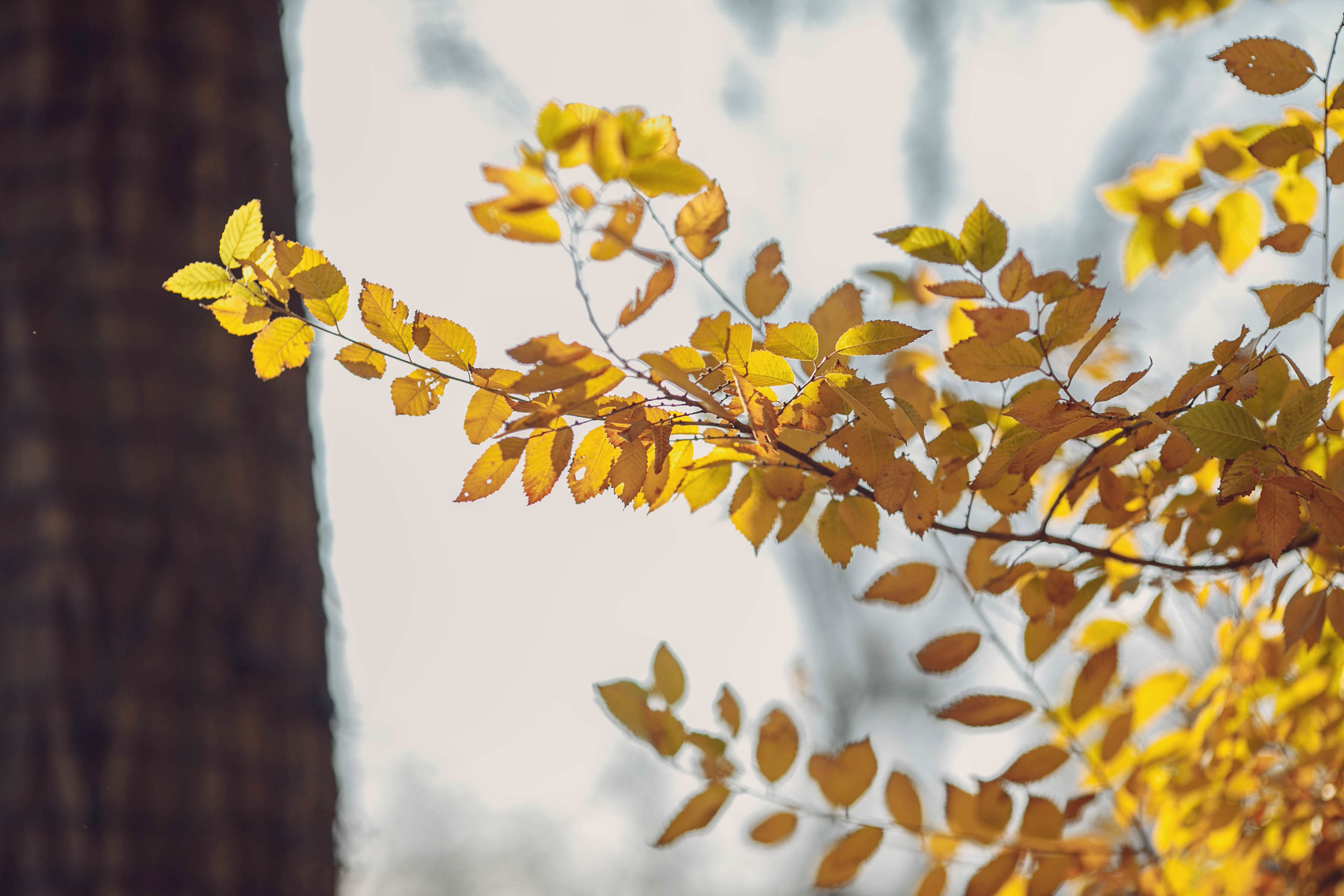 Осень в городе. Семейный и детский фотограф в Ростове-на-Дону Мария Курутина