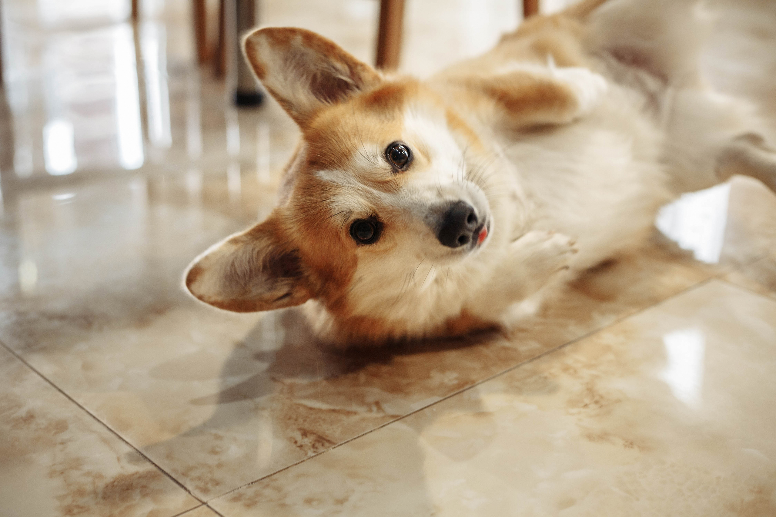 новогодняя фотосессия в Ростове, новогодняя фотосессия, новогодняя съемка, фотосессия дома, домашняя фотосессия, фотосессия с детьми, мама и дочки, мама и дочка, фотограф Ростов, семейный фотограф Ростов, семейный фотограф в Ростове, фотосессия Ростов, фотосессия в Ростове