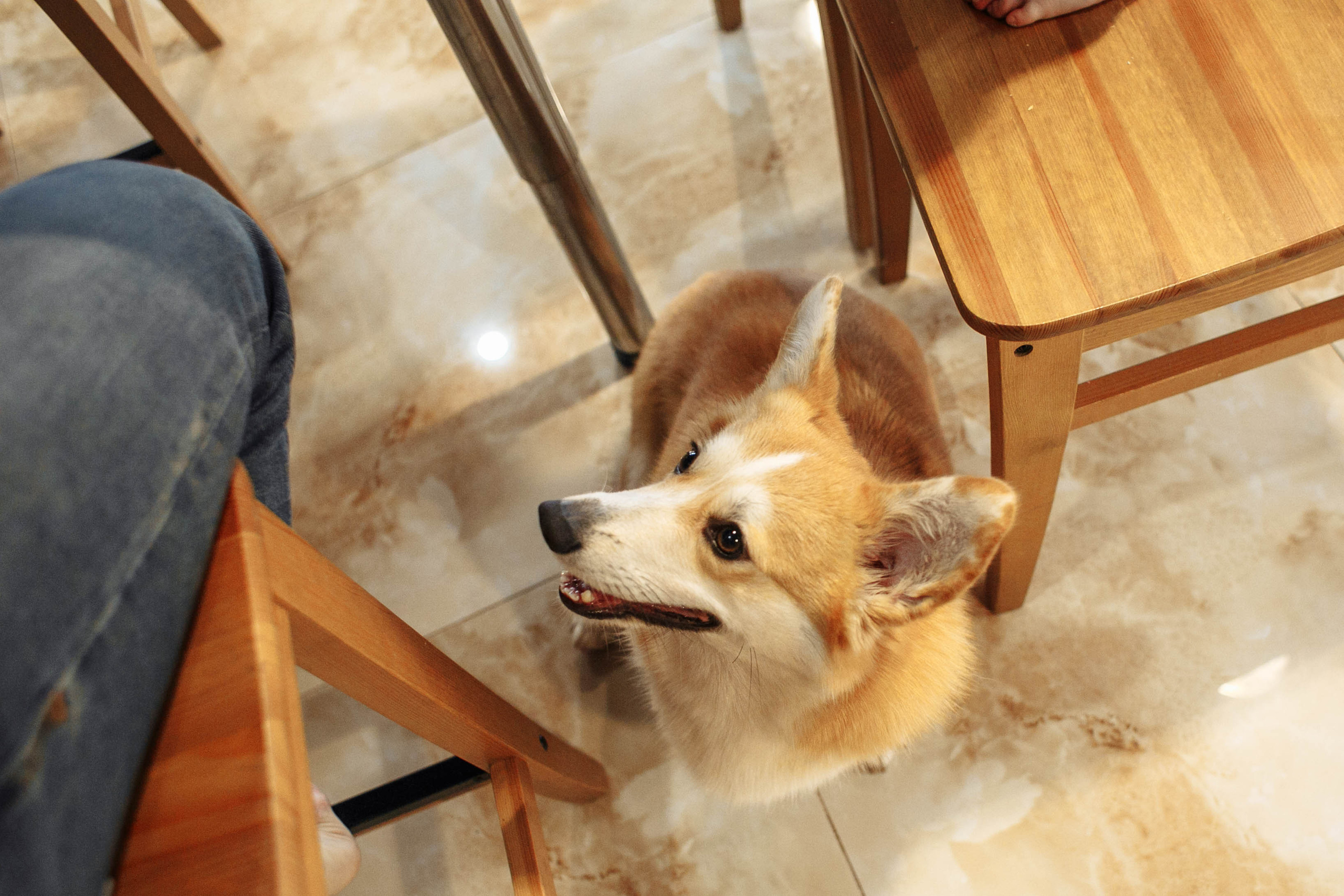 новогодняя фотосессия в Ростове, новогодняя фотосессия, новогодняя съемка, фотосессия дома, домашняя фотосессия, фотосессия с детьми, мама и дочки, мама и дочка, фотограф Ростов, семейный фотограф Ростов, семейный фотограф в Ростове, фотосессия Ростов, фотосессия в Ростове