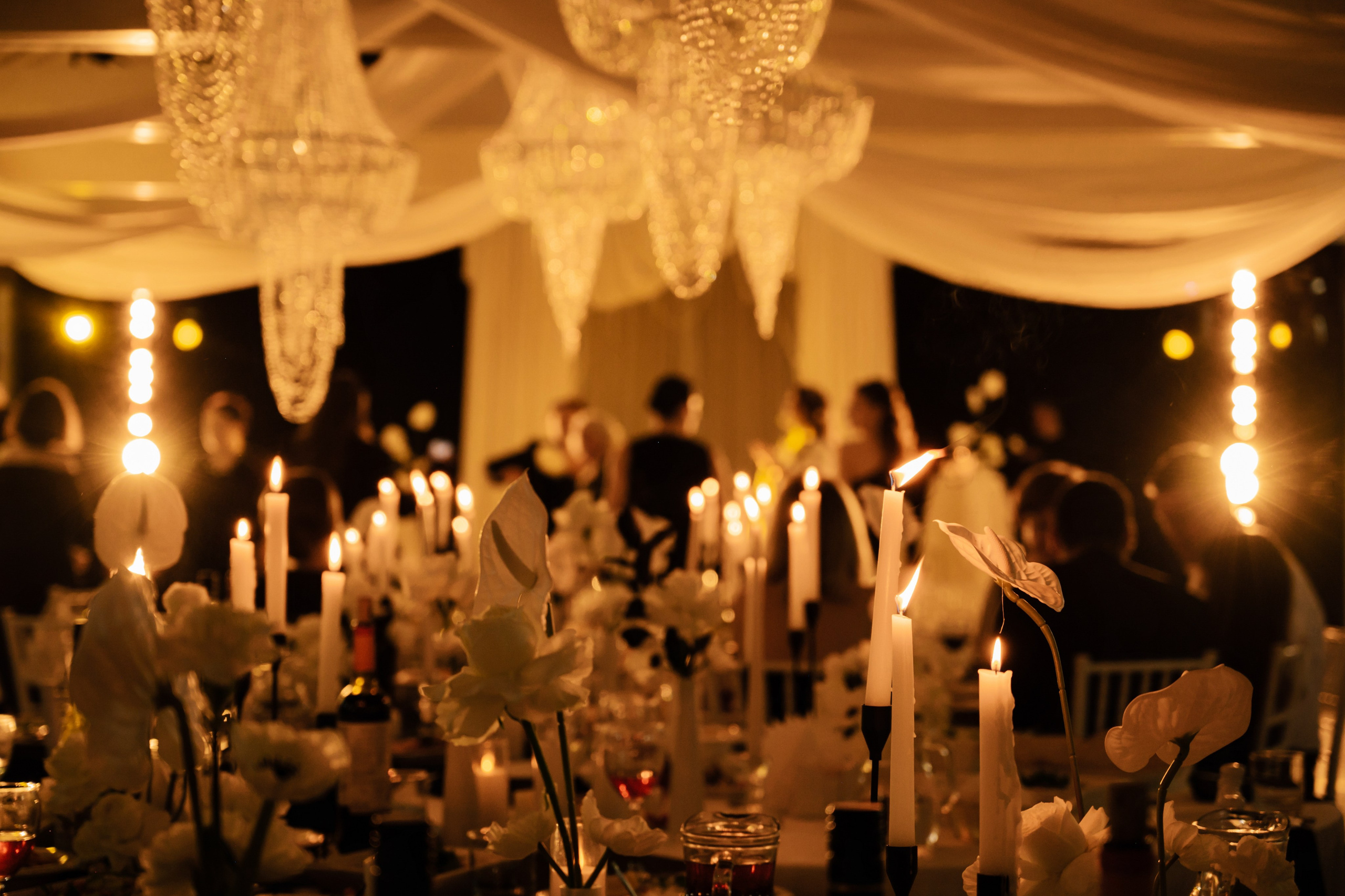 Sabina and Dmitry. Свадебный и семейный фотограф Вероника Холод