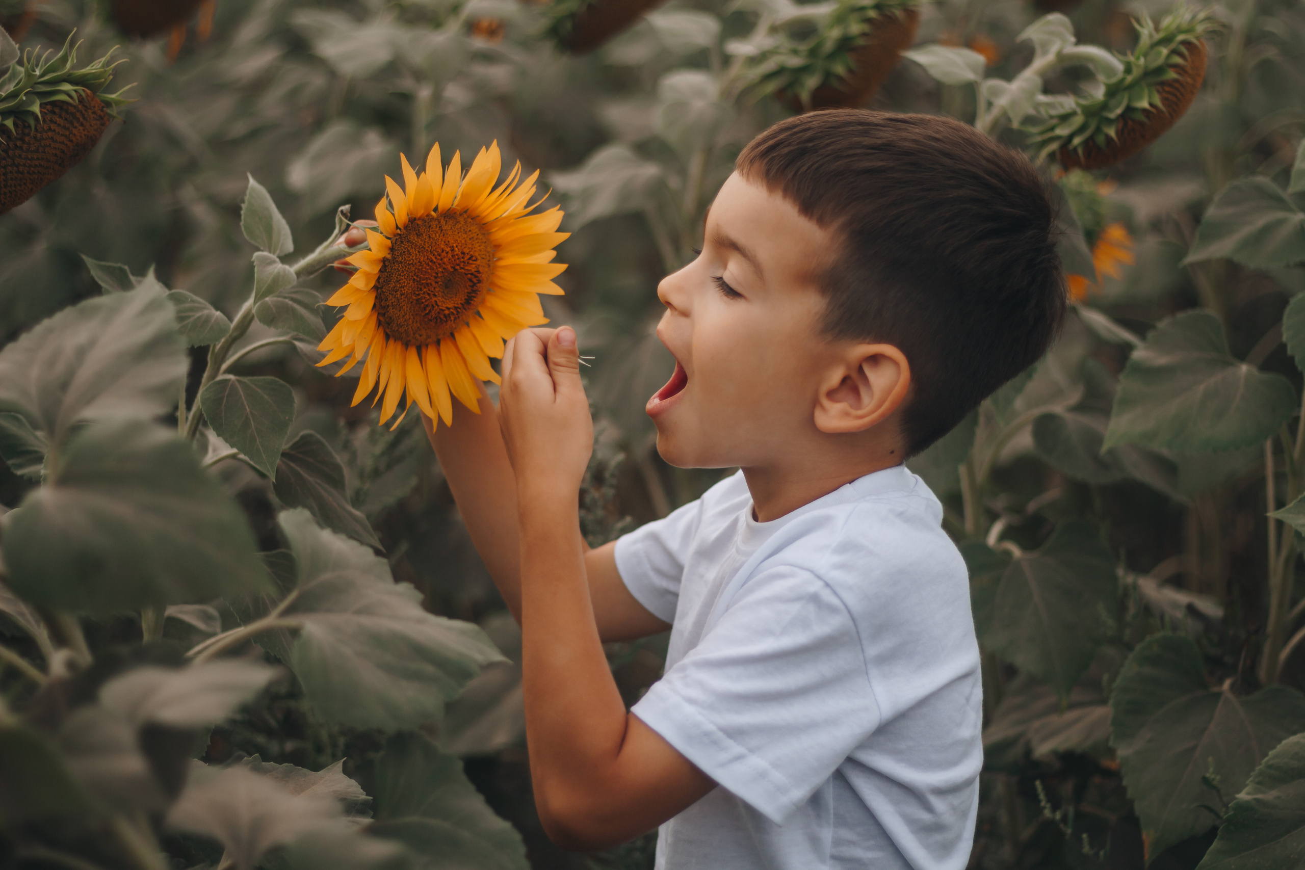 Елена, Сергей и Алёша. Портретный, семейный, lovestory фотограф в Саратове Анастасия Ивахнова