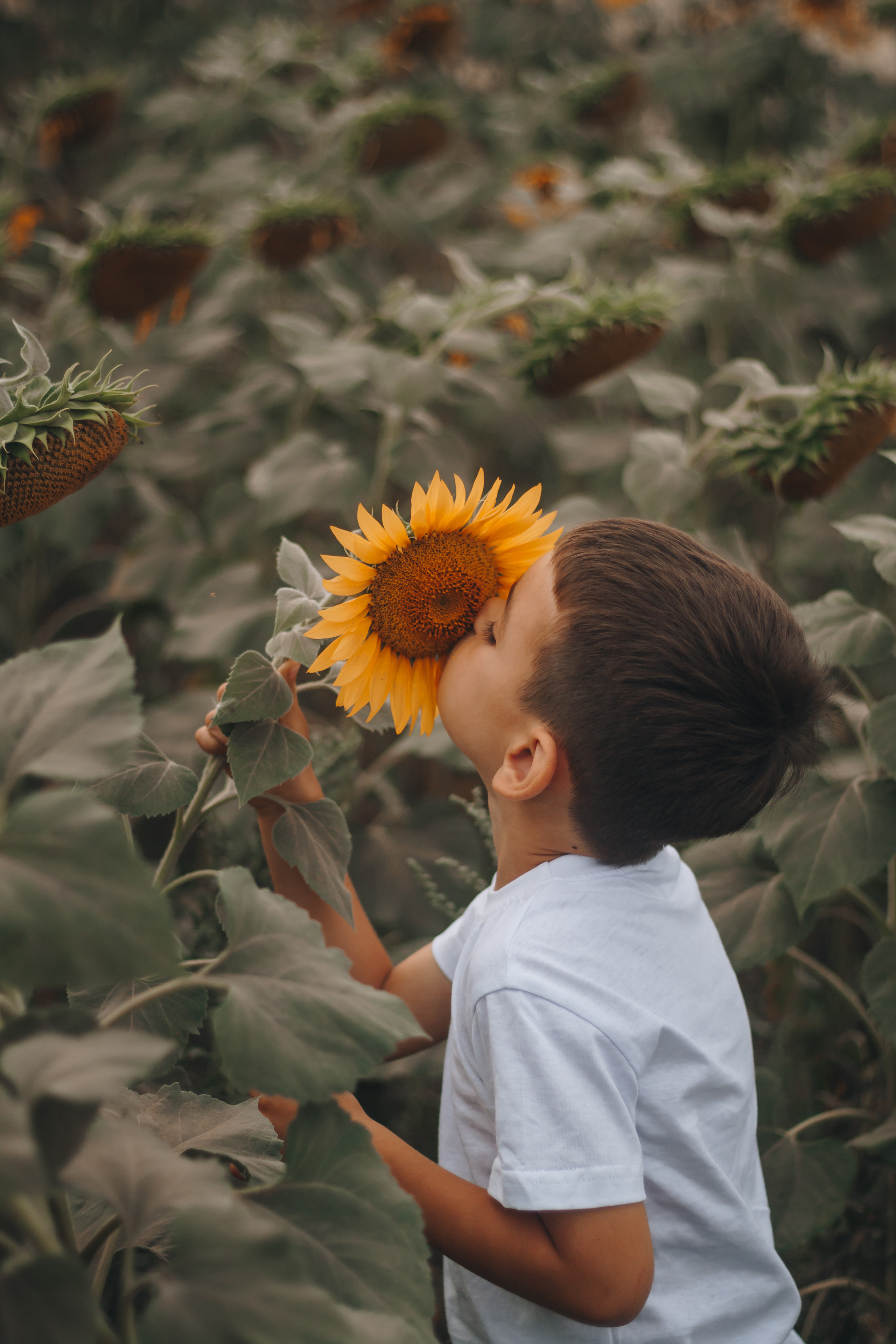 Елена, Сергей и Алёша. Портретный, семейный, lovestory фотограф в Саратове Анастасия Ивахнова