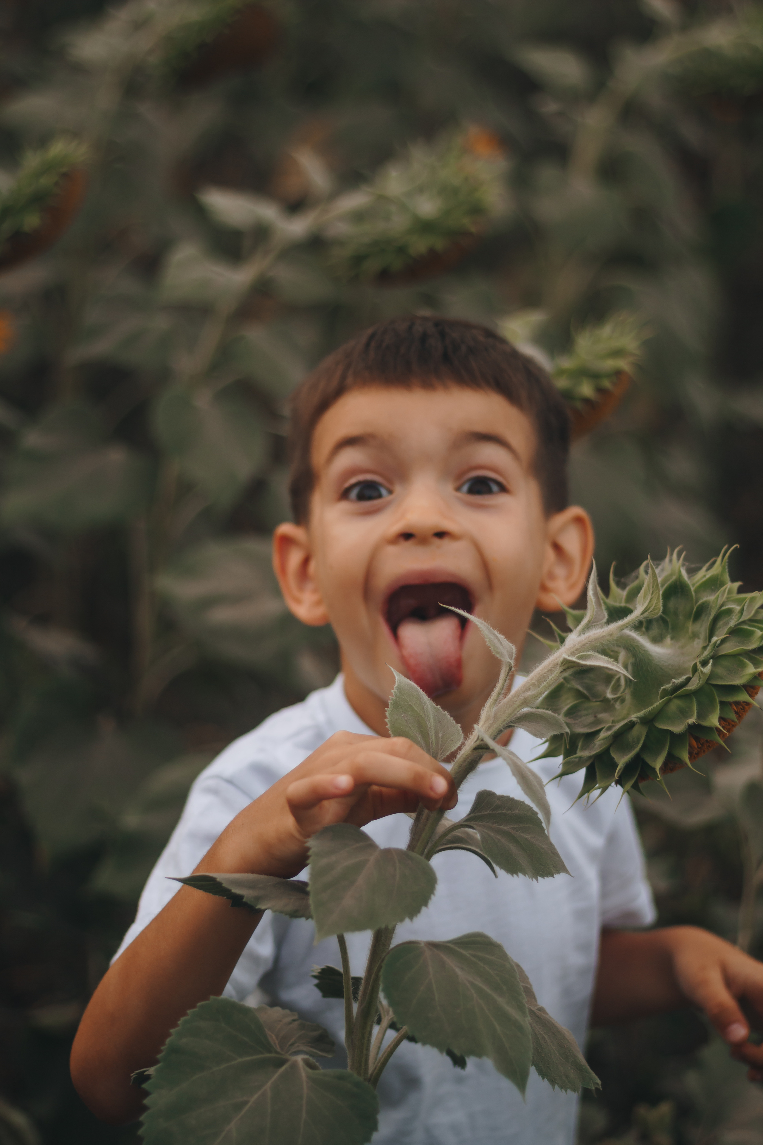 Елена, Сергей и Алёша. Портретный, семейный, lovestory фотограф в Саратове Анастасия Ивахнова