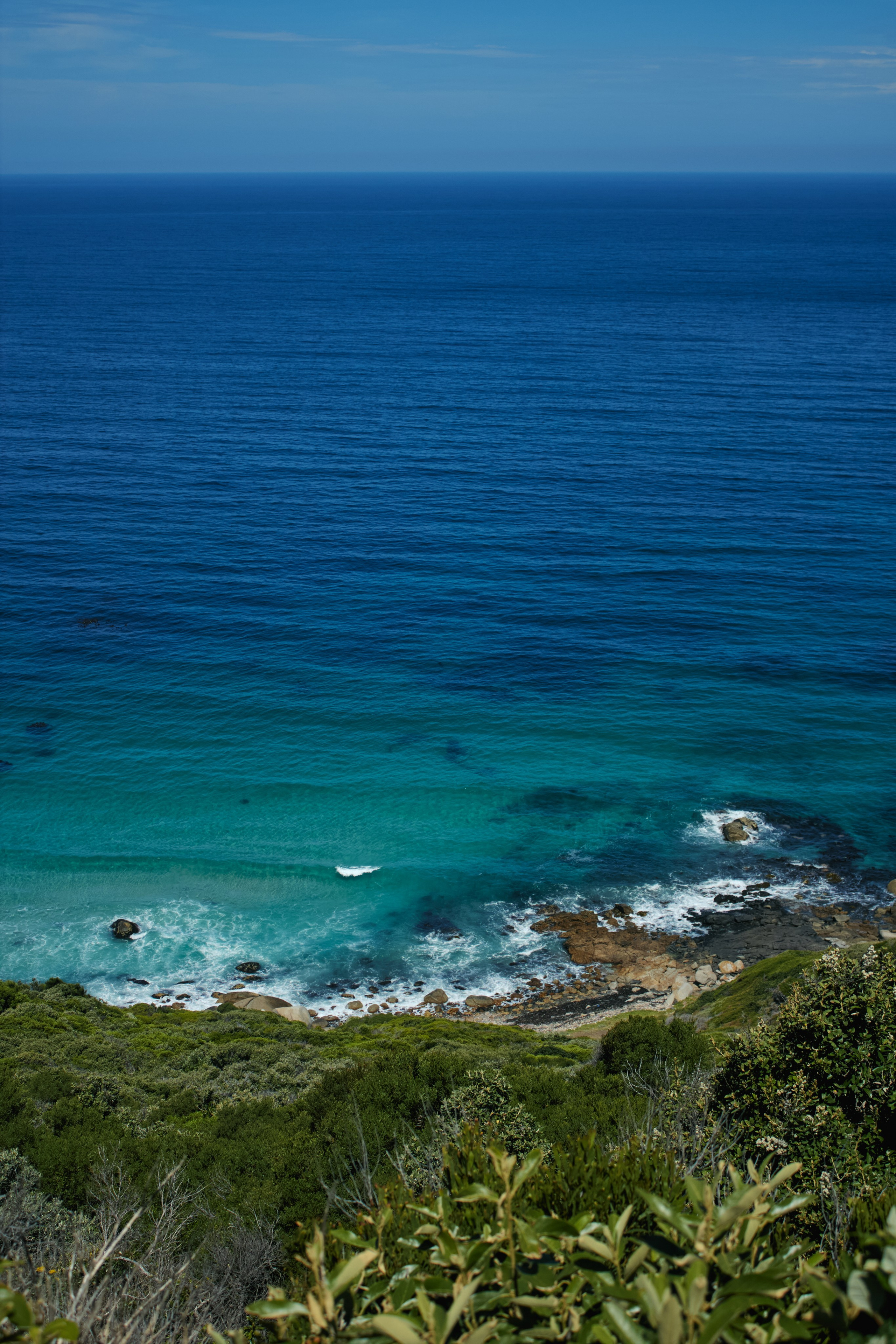 ЮАР. Профессиональный Фотограф во Владимире, в Москве и в Суздале — Полина Романычева