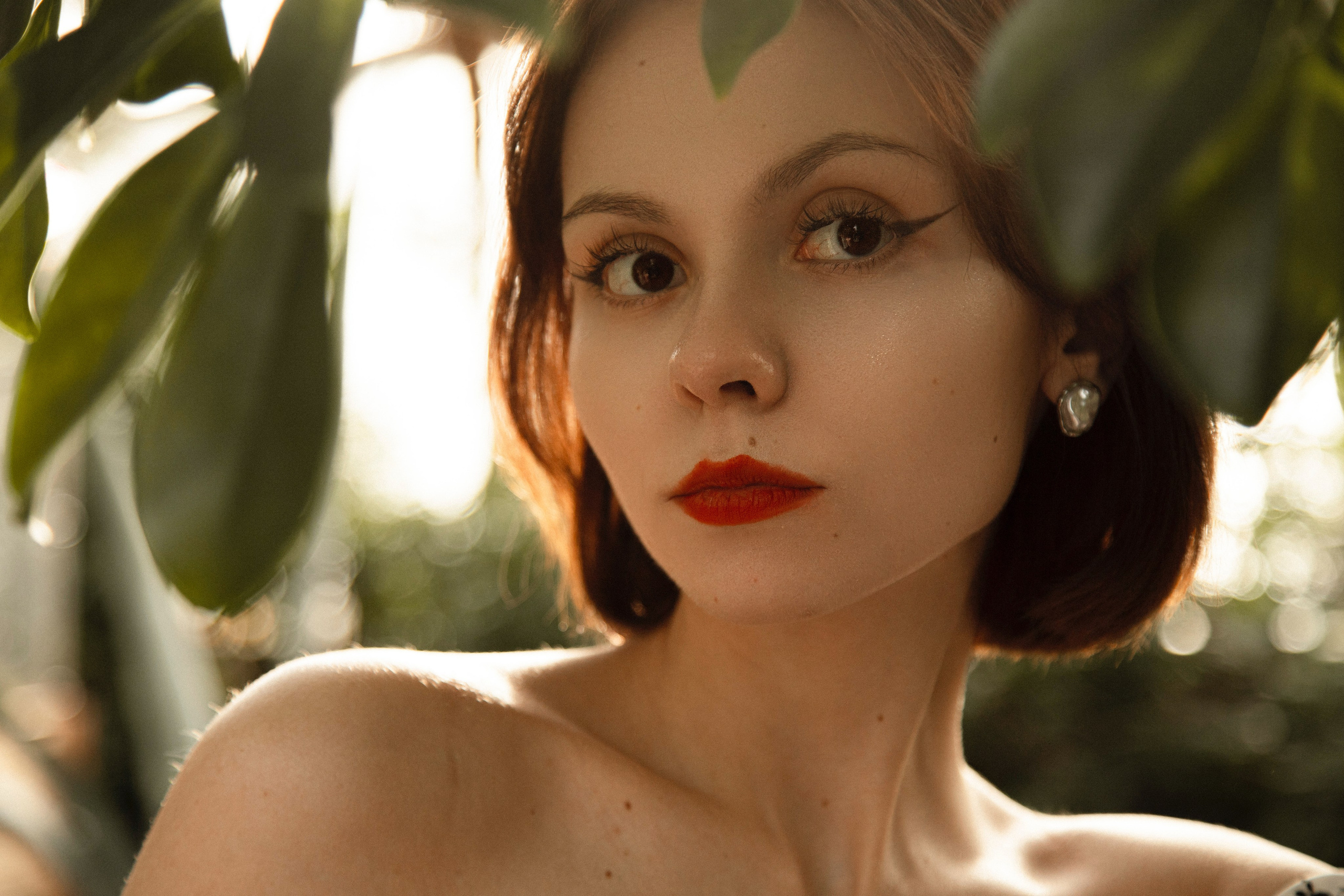 Оранжерея Таврического сада